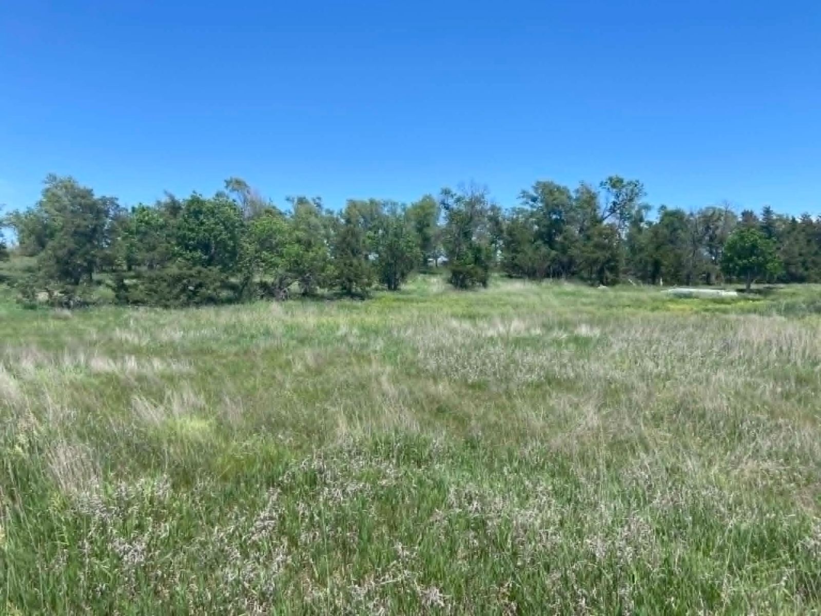 24 (+/-) Acres of Rural Residential Land, Vivian, SD — Vivian, SD real estate photo — photo 1 of 20