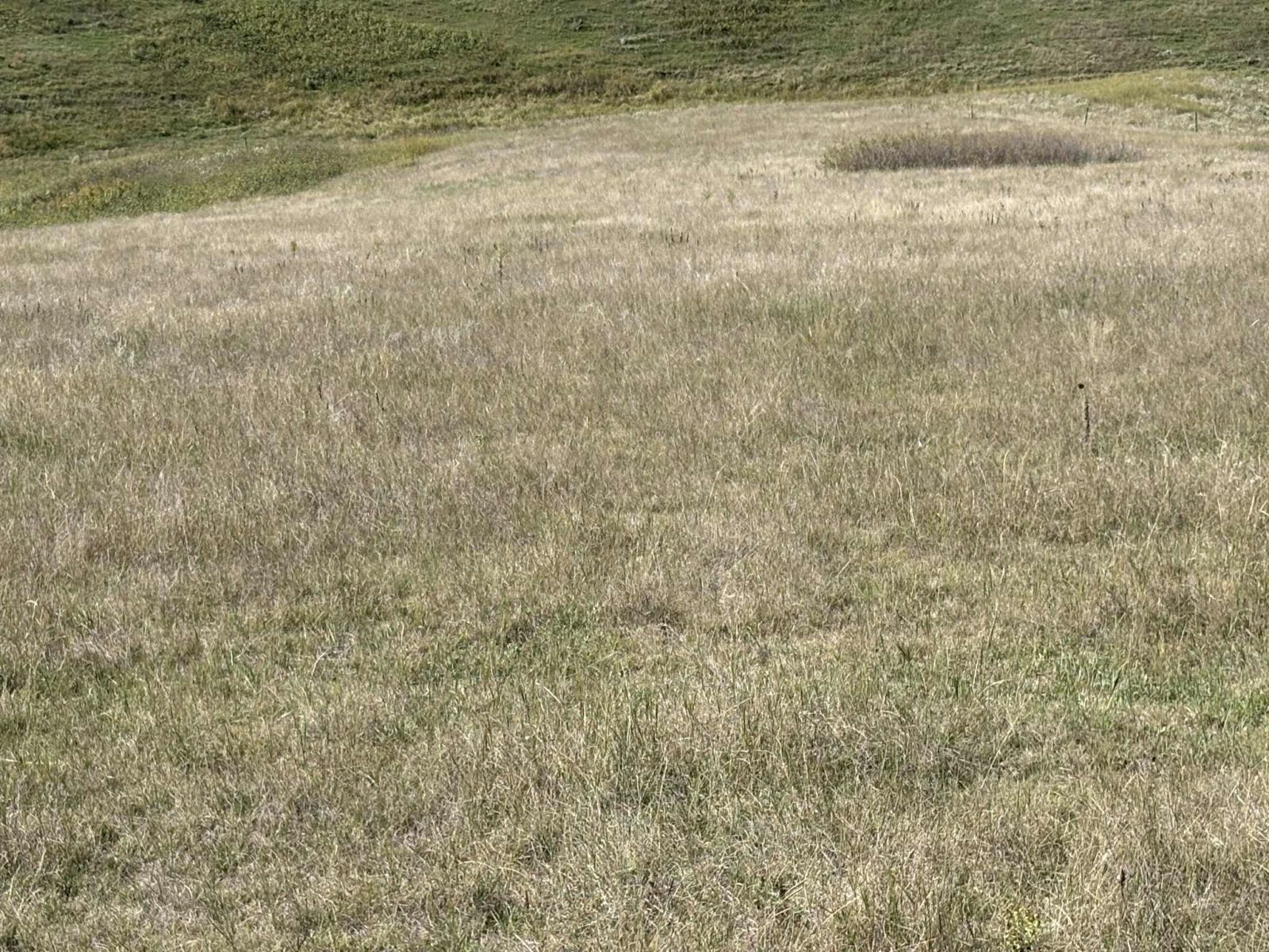 31 (+/-) Acres, Greenwood Twp, Tripp County, SD — Winner, SD real estate photo thumbnail 6