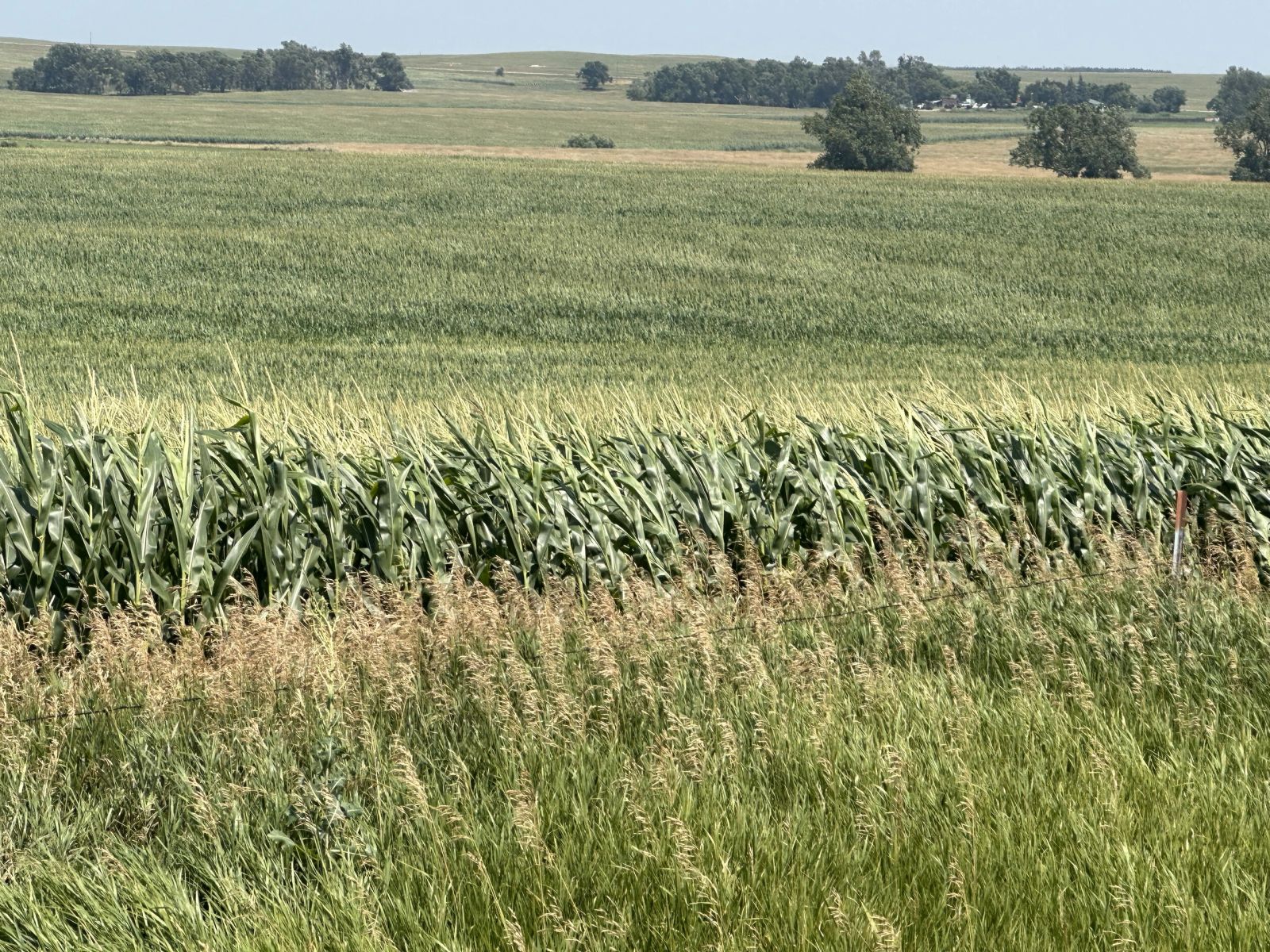 160 +/- Acres Mostly Cropland, Carlock Twp, Gregory Co, SD — Carlock, SD real estate photo thumbnail 5