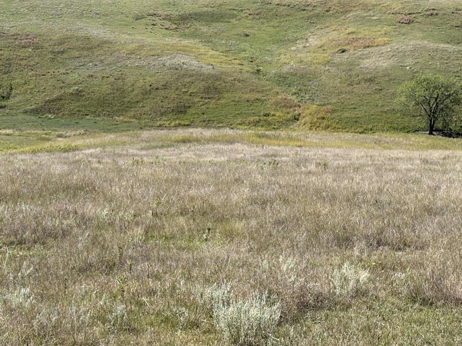 31 (+/-) Acres, Greenwood Twp, Tripp County, SD — Winner, SD real estate photo thumbnail 8
