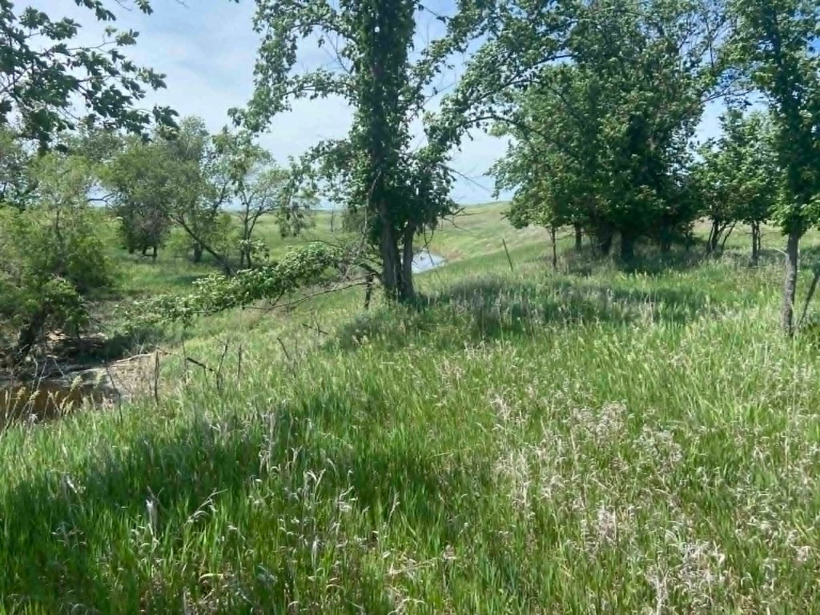 24 (+/-) Acres of Rural Residential Land, Vivian, SD — Vivian, SD real estate photo thumbnail 7