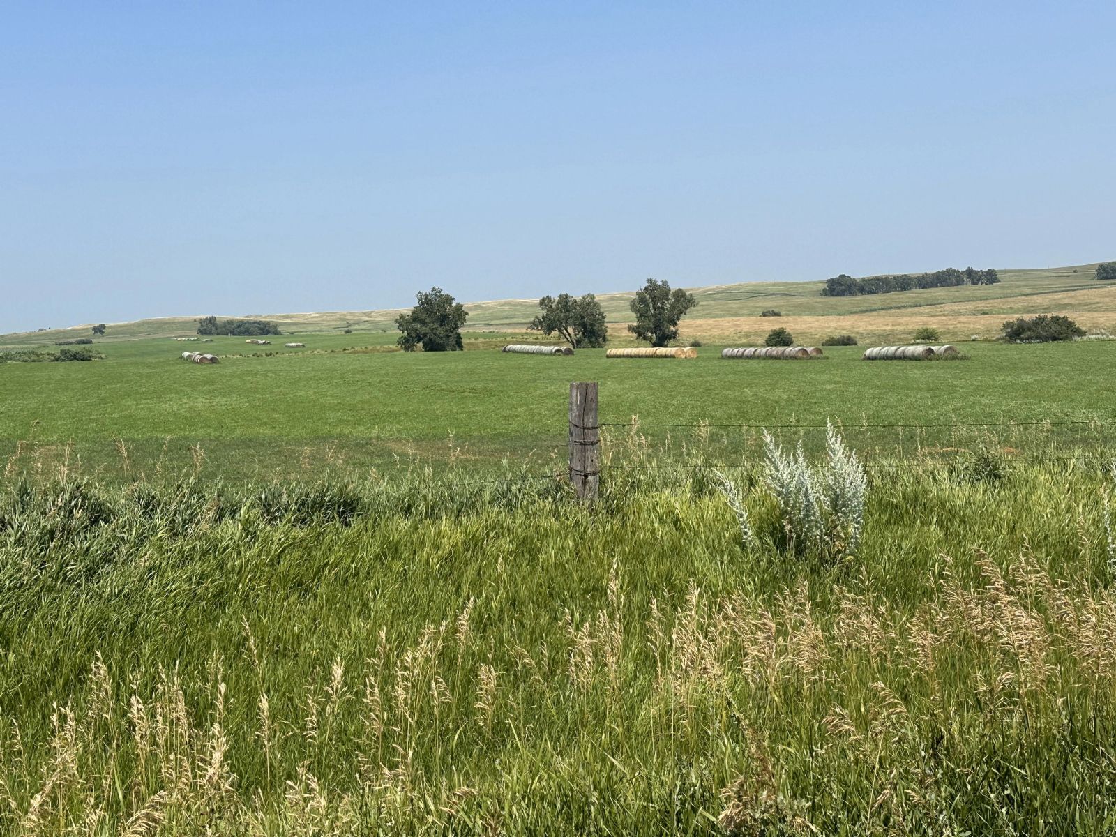 160 +/- Acres Mostly Cropland, Carlock Twp, Gregory Co, SD — Carlock, SD real estate photo thumbnail 6