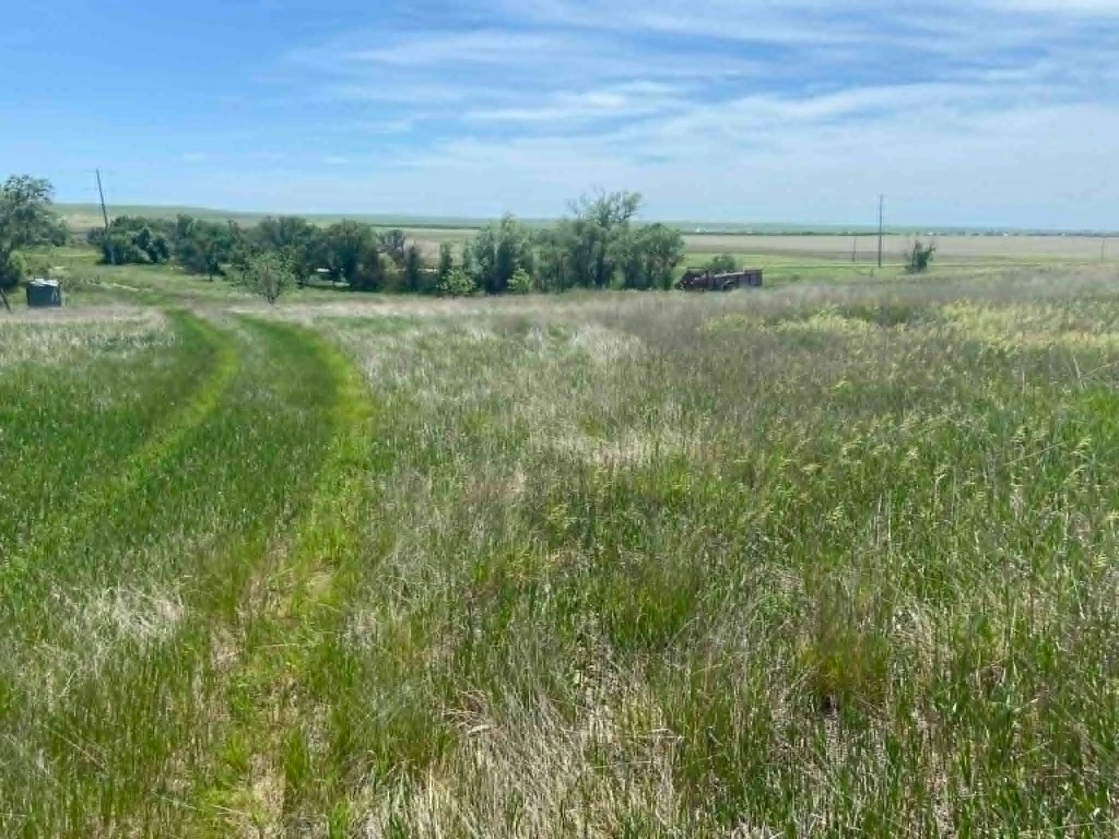 24 (+/-) Acres of Rural Residential Land, Vivian, SD — Vivian, SD real estate photo thumbnail 13