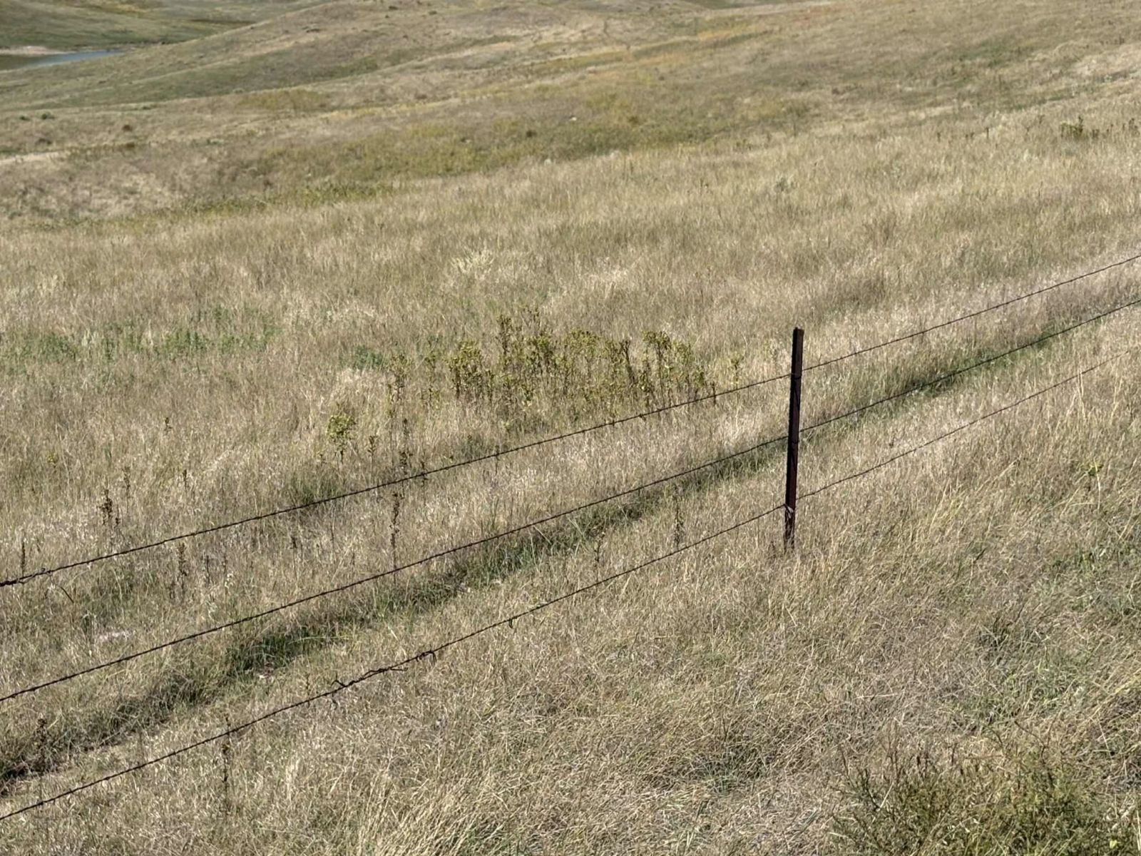 31 (+/-) Acres, Greenwood Twp, Tripp County, SD — Winner, SD real estate photo thumbnail 17