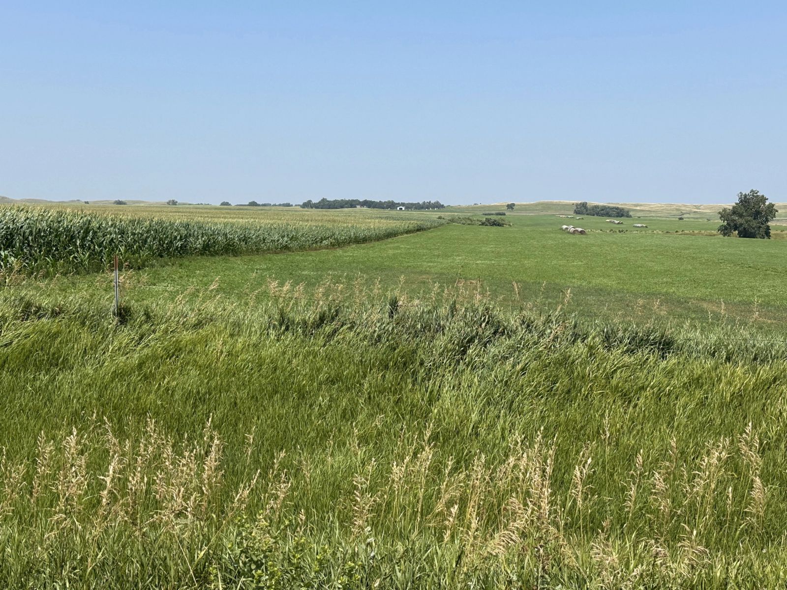 160 +/- Acres Mostly Cropland, Carlock Twp, Gregory Co, SD — Carlock, SD real estate photo thumbnail 7