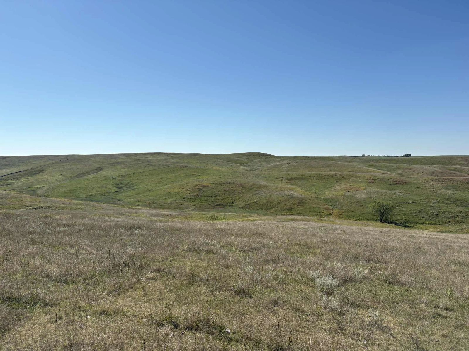 31 (+/-) Acres, Greenwood Twp, Tripp County, SD — Winner, SD real estate photo thumbnail 3