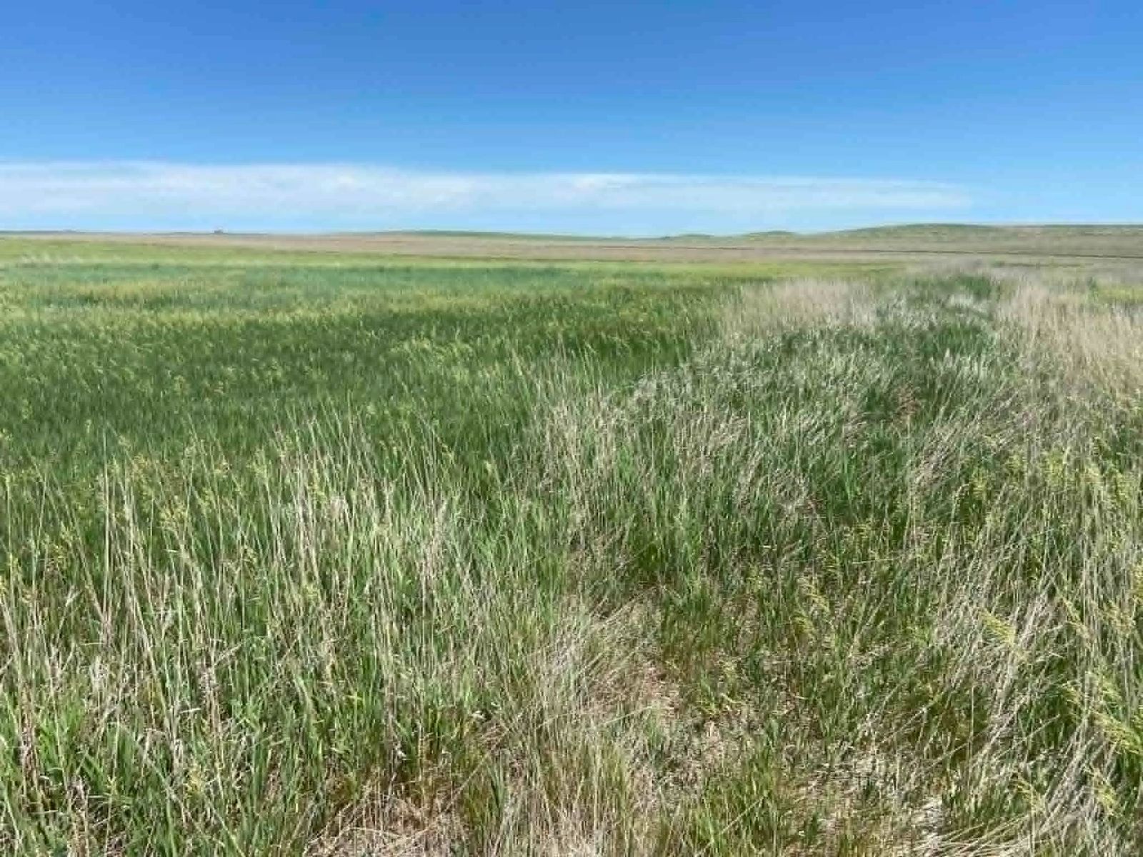 24 (+/-) Acres of Rural Residential Land, Vivian, SD — Vivian, SD real estate photo thumbnail 3
