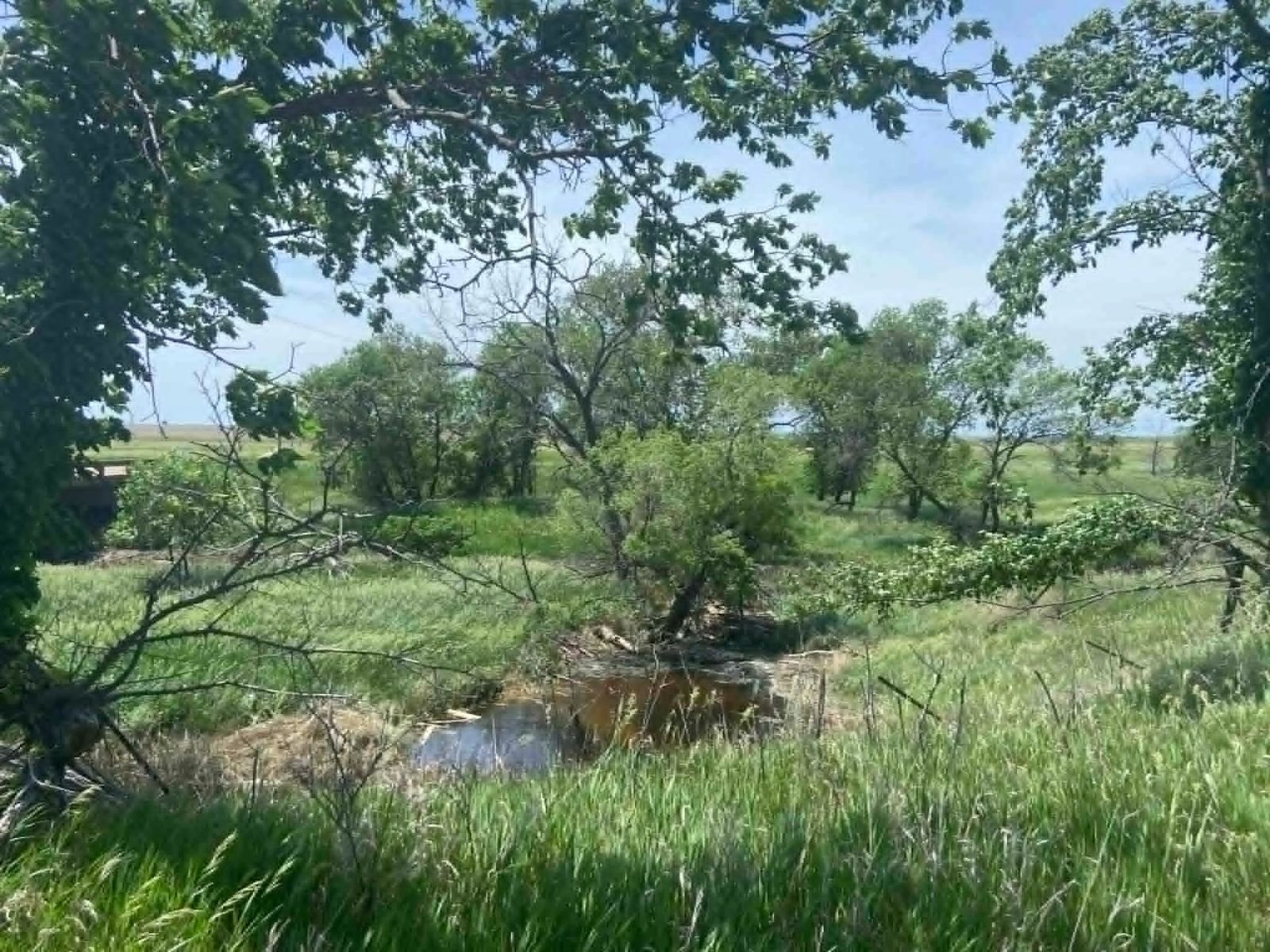 24 (+/-) Acres of Rural Residential Land, Vivian, SD — Vivian, SD real estate photo thumbnail 12