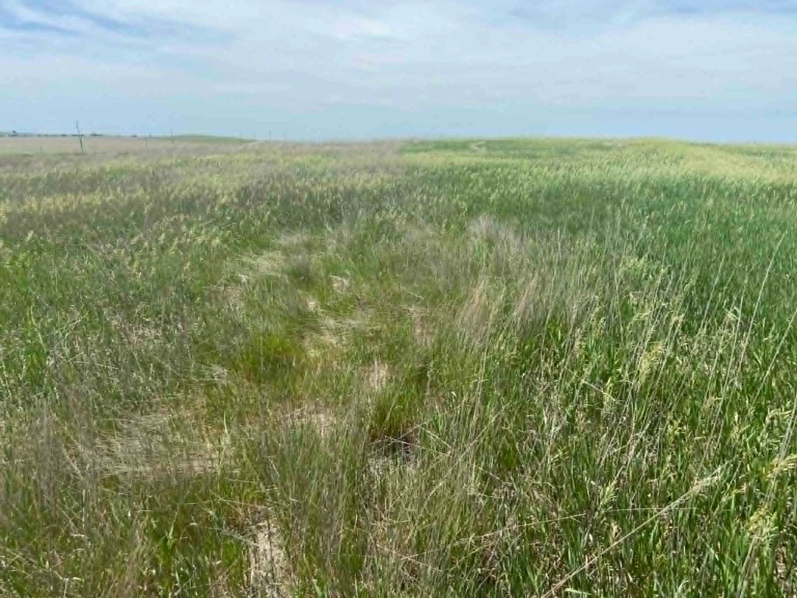24 (+/-) Acres of Rural Residential Land, Vivian, SD — Vivian, SD real estate photo thumbnail 2