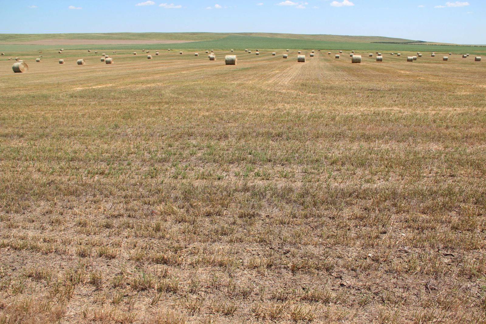 40 +/- Acres Alfalfa Mix, Lyman County, SD — Vivian, SD real estate photo thumbnail 14