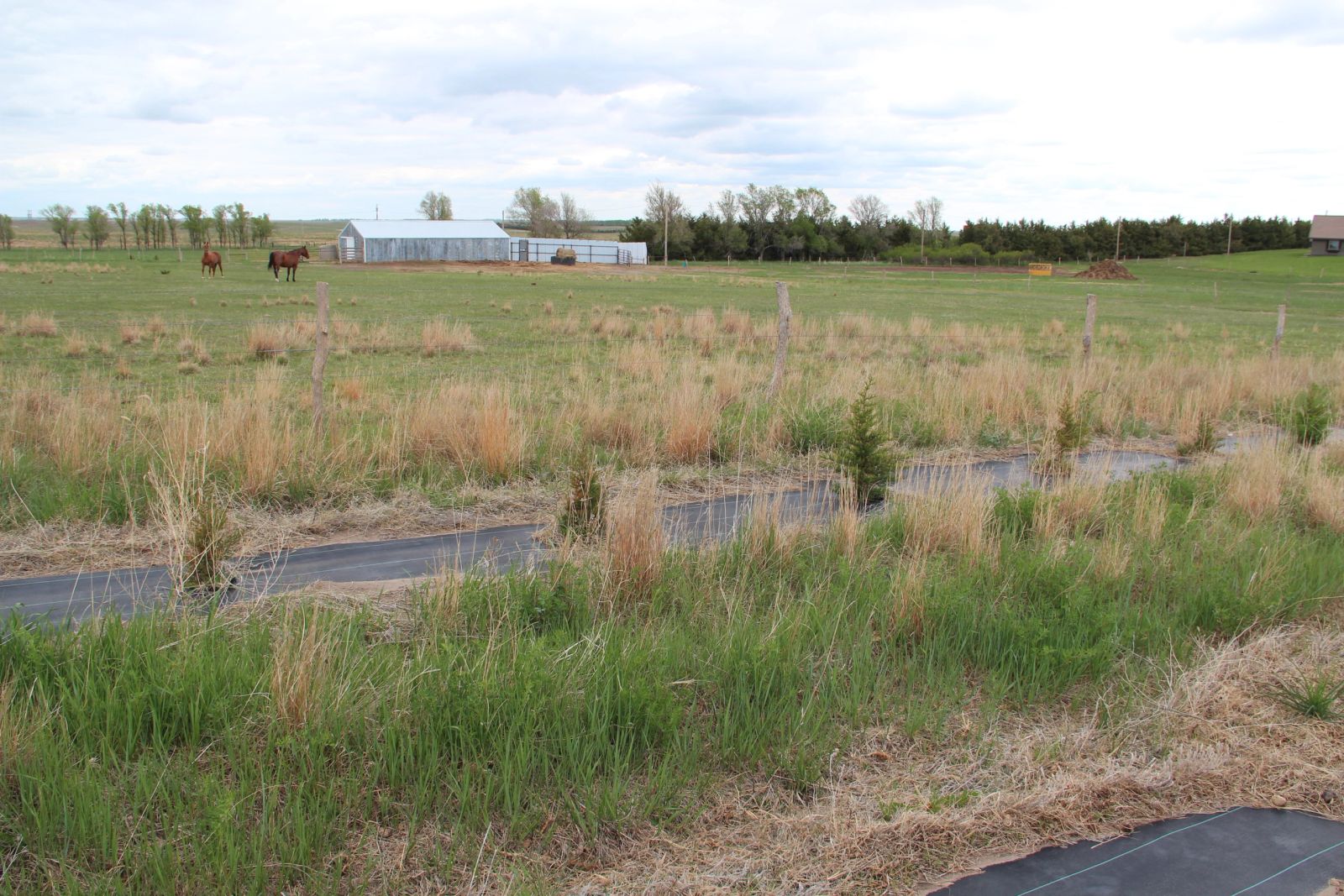 90767 396th Ave, Valentine, NE — Valentine, NE real estate photo thumbnail 26