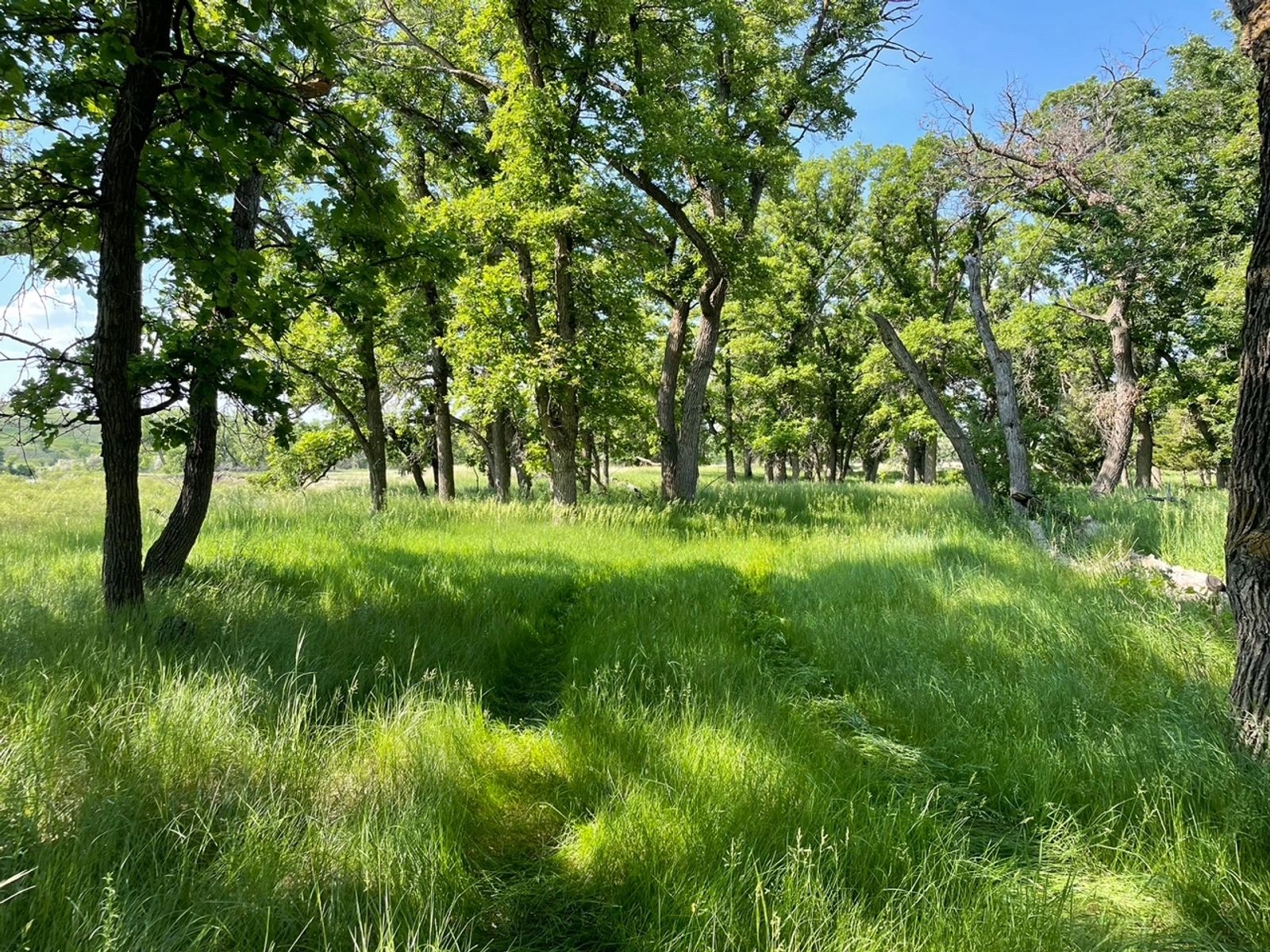 SweetSpot (North) Residential & Commercial Lots, White River, SD — White River, SD real estate photo thumbnail 30