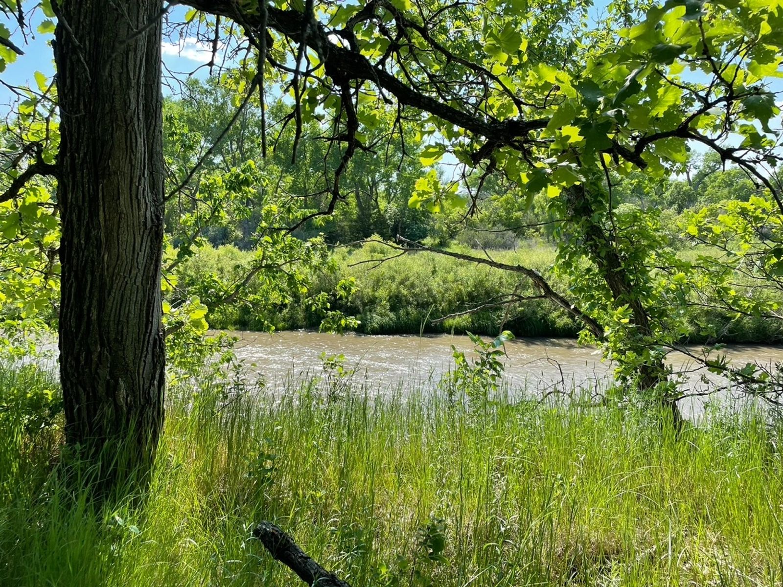SweetSpot (North) Residential & Commercial Lots, White River, SD — White River, SD real estate photo thumbnail 27