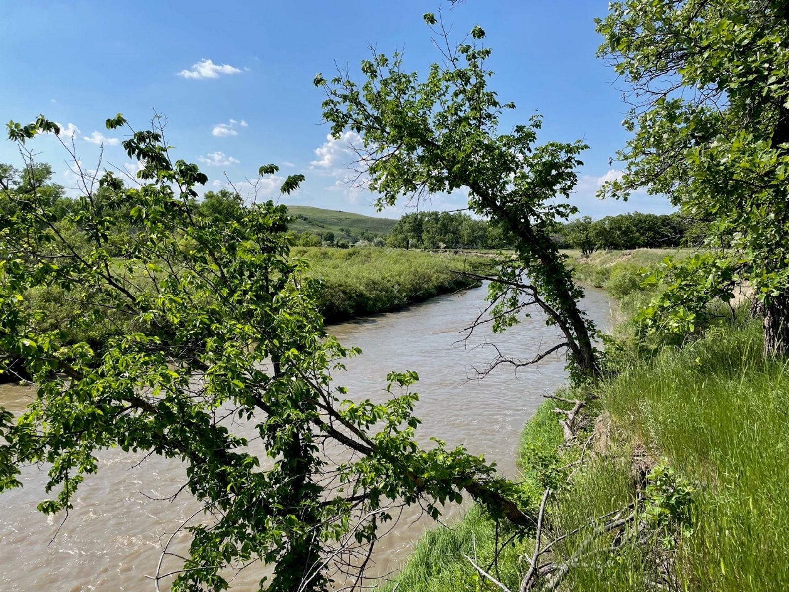 SweetSpot (North) Residential & Commercial Lots, White River, SD — White River, SD real estate photo thumbnail 29