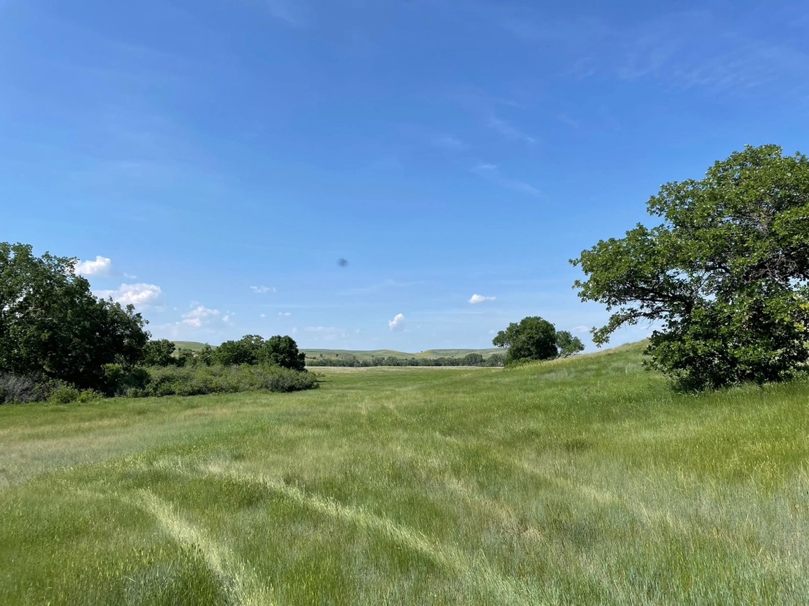 SweetSpot (North) Residential & Commercial Lots, White River, SD — White River, SD real estate photo thumbnail 25