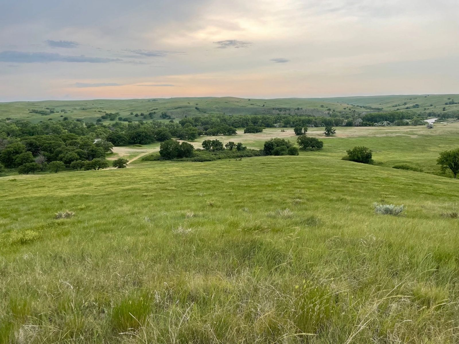 4 Unique Tracts of Land Near White River, SD — White River, SD real estate photo thumbnail 11
