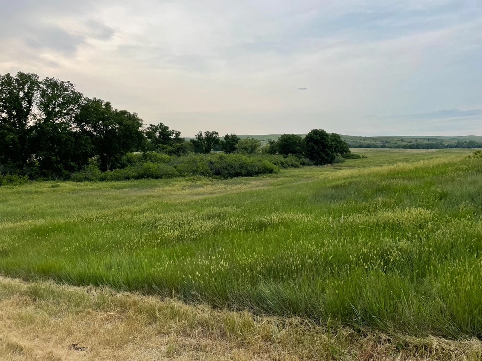 SweetSpot (North) Residential & Commercial Lots, White River, SD — White River, SD real estate photo thumbnail 34
