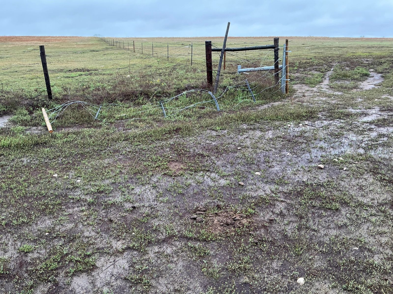 160 +/- Acres Pasture Land, East Todd Twp, Todd Co, SD — Todd County, SD real estate photo thumbnail 9