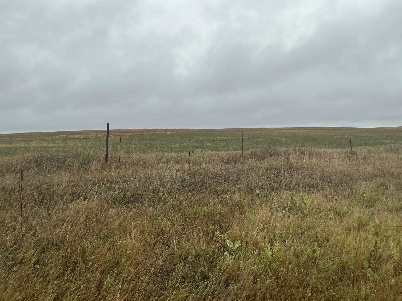 160 +/- Acres Pasture Land, East Todd Twp, Todd Co, SD — Todd County, SD real estate photo thumbnail 8