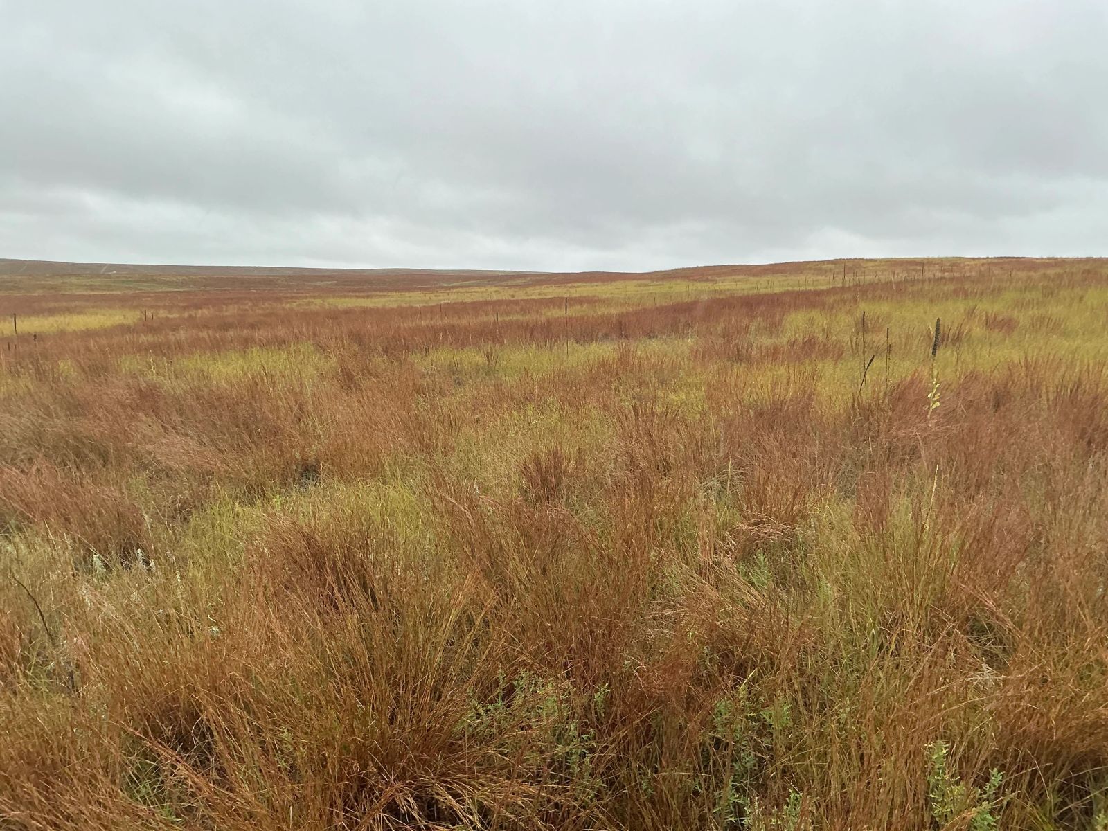 160 +/- Acres Pasture Land, East Todd Twp, Todd Co, SD — Todd County, SD real estate photo — photo 1 of 19