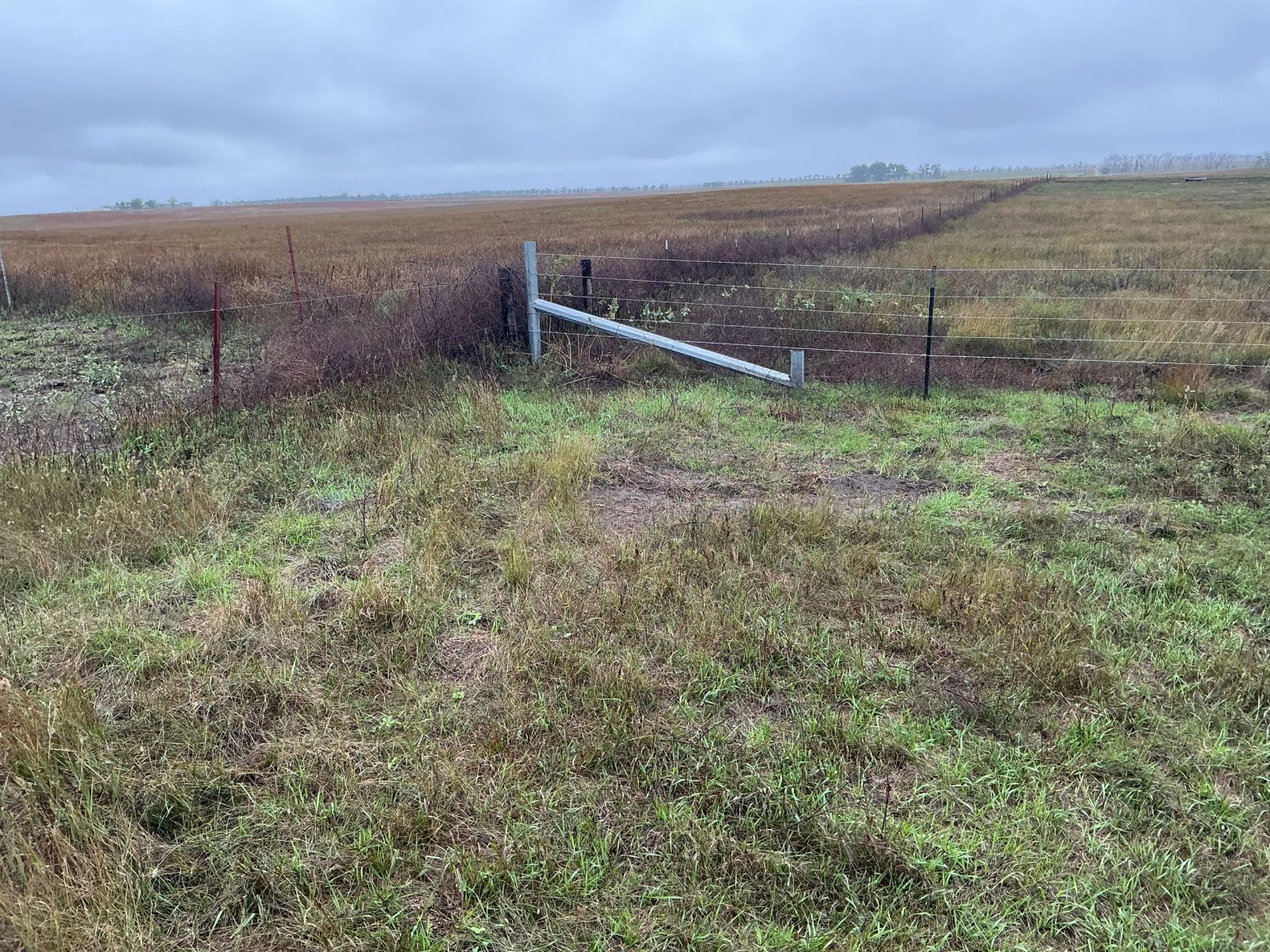 160 +/- Acres Pasture Land, East Todd Twp, Todd Co, SD — Todd County, SD real estate photo thumbnail 2