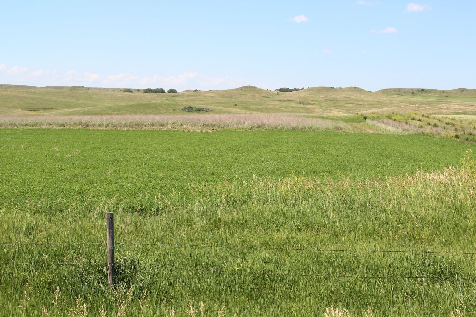 240 +/- Acres Pasture Land, Valley Twp, Tripp Co, SD — Winner, SD real estate photo thumbnail 14