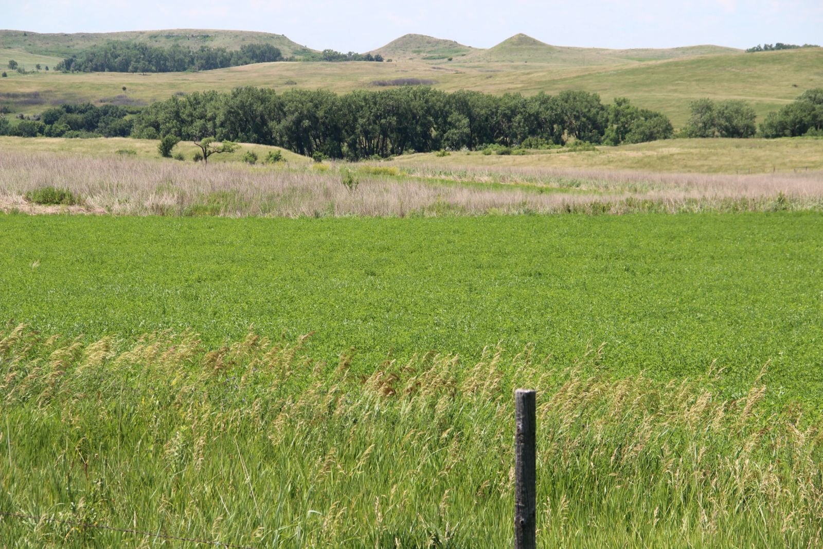 240 +/- Acres Pasture Land, Valley Twp, Tripp Co, SD — Winner, SD real estate photo thumbnail 7