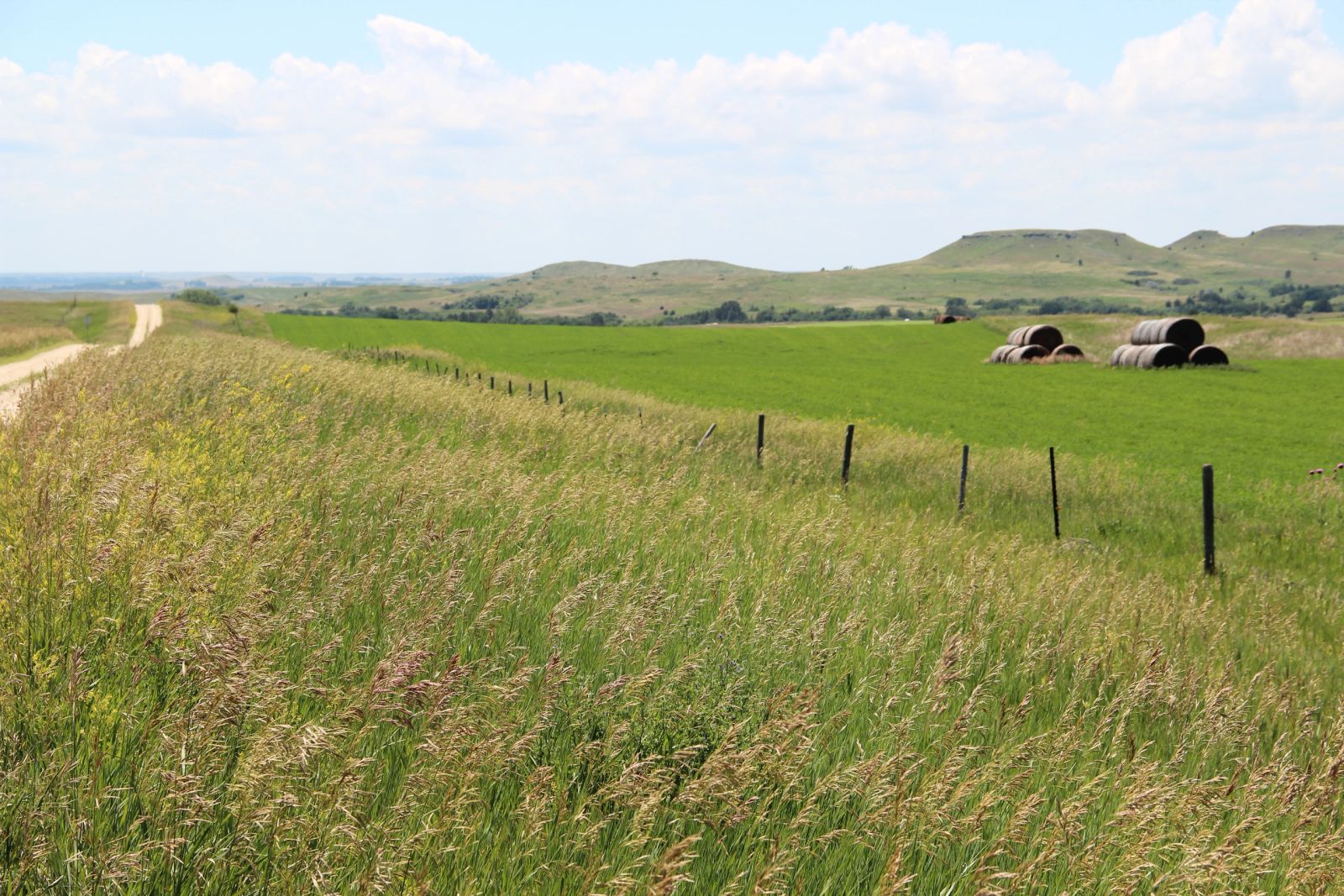 240 +/- Acres Pasture Land, Valley Twp, Tripp Co, SD — Winner, SD real estate photo thumbnail 10