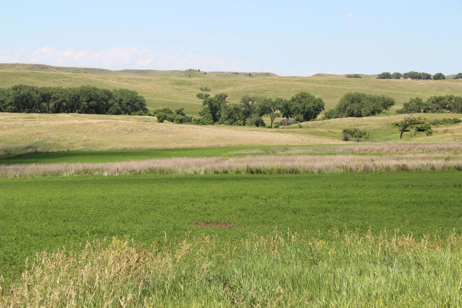 240 +/- Acres Pasture Land, Valley Twp, Tripp Co, SD — Winner, SD real estate photo thumbnail 9