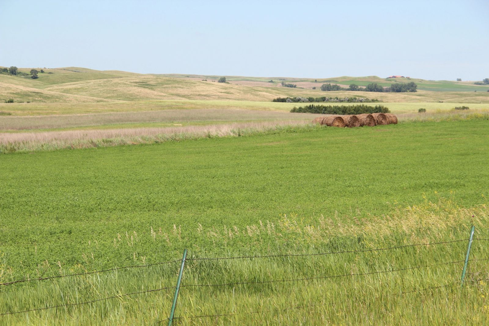 240 +/- Acres Pasture Land, Valley Twp, Tripp Co, SD — Winner, SD real estate photo thumbnail 16