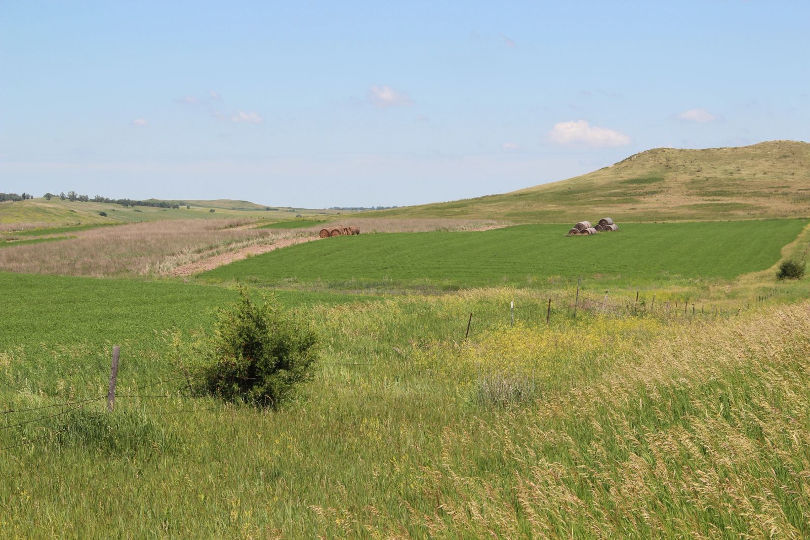 240 +/- Acres Pasture Land, Valley Twp, Tripp Co, SD — Winner, SD real estate photo thumbnail 17