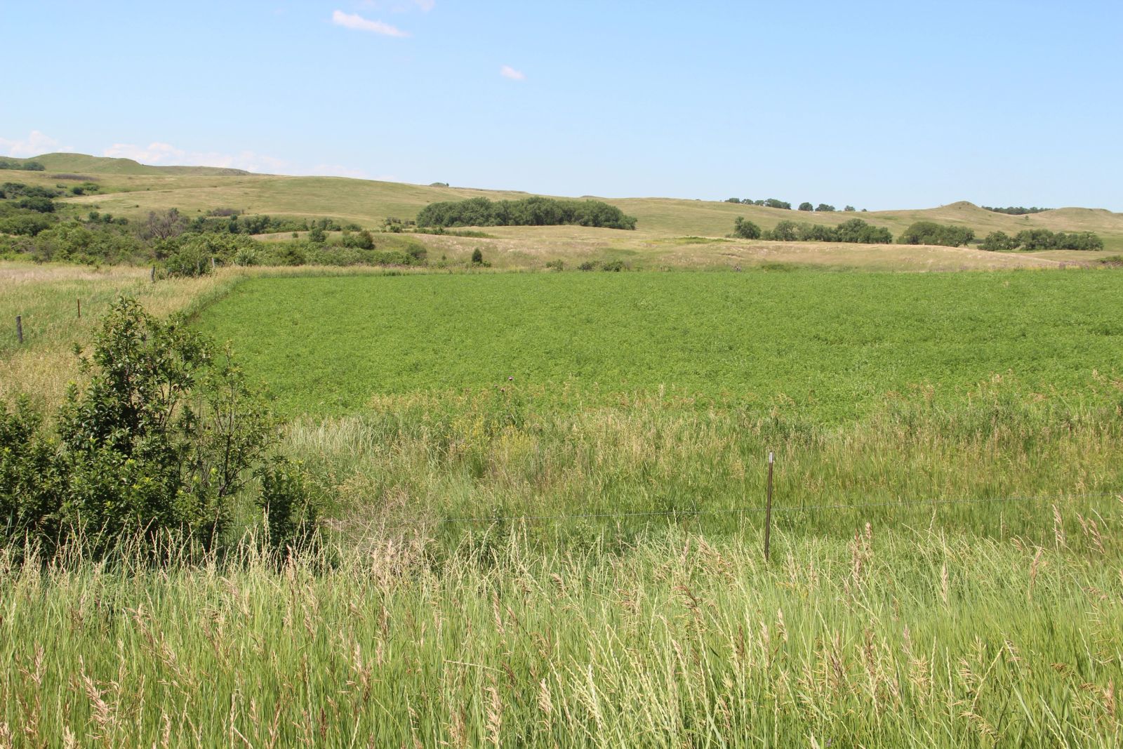 240 +/- Acres Pasture Land, Valley Twp, Tripp Co, SD — Winner, SD real estate photo thumbnail 8