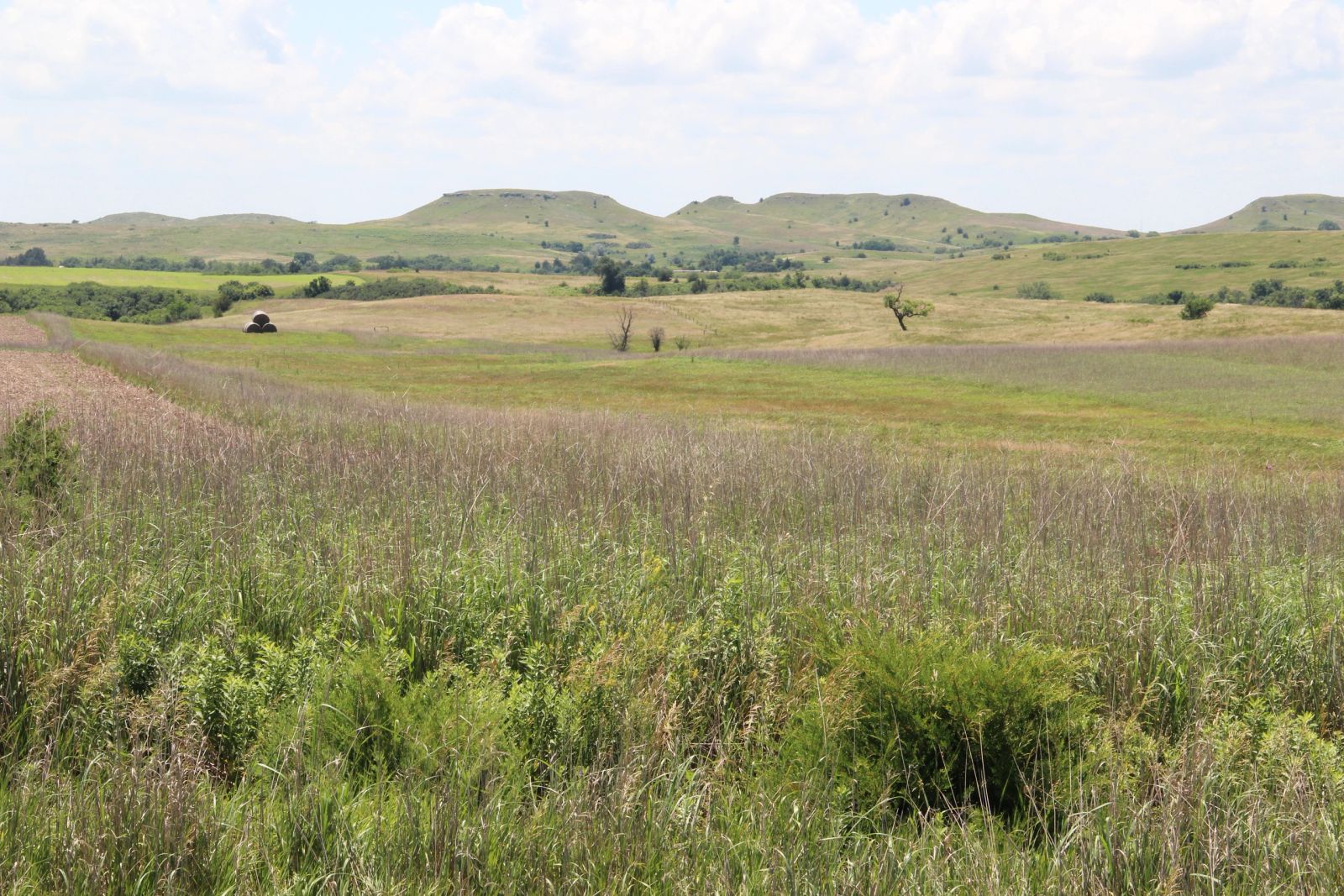240 +/- Acres Pasture Land, Valley Twp, Tripp Co, SD — Winner, SD real estate photo thumbnail 5