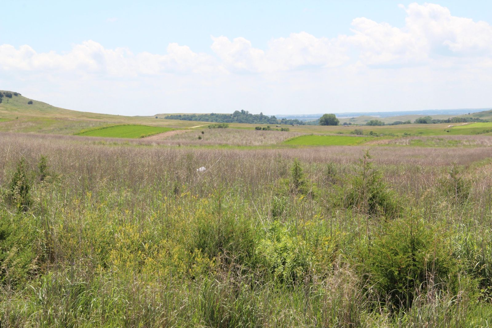 240 +/- Acres Pasture Land, Valley Twp, Tripp Co, SD — Winner, SD real estate photo thumbnail 11