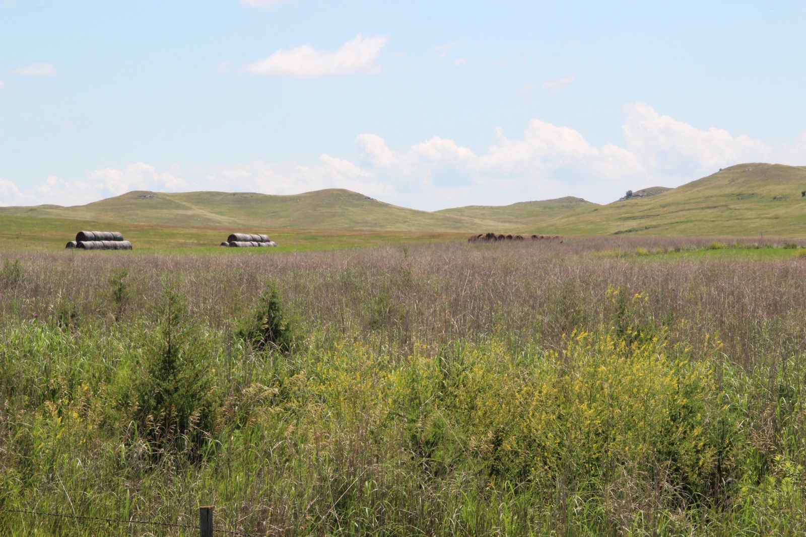 240 +/- Acres Pasture Land, Valley Twp, Tripp Co, SD — Winner, SD real estate photo thumbnail 4
