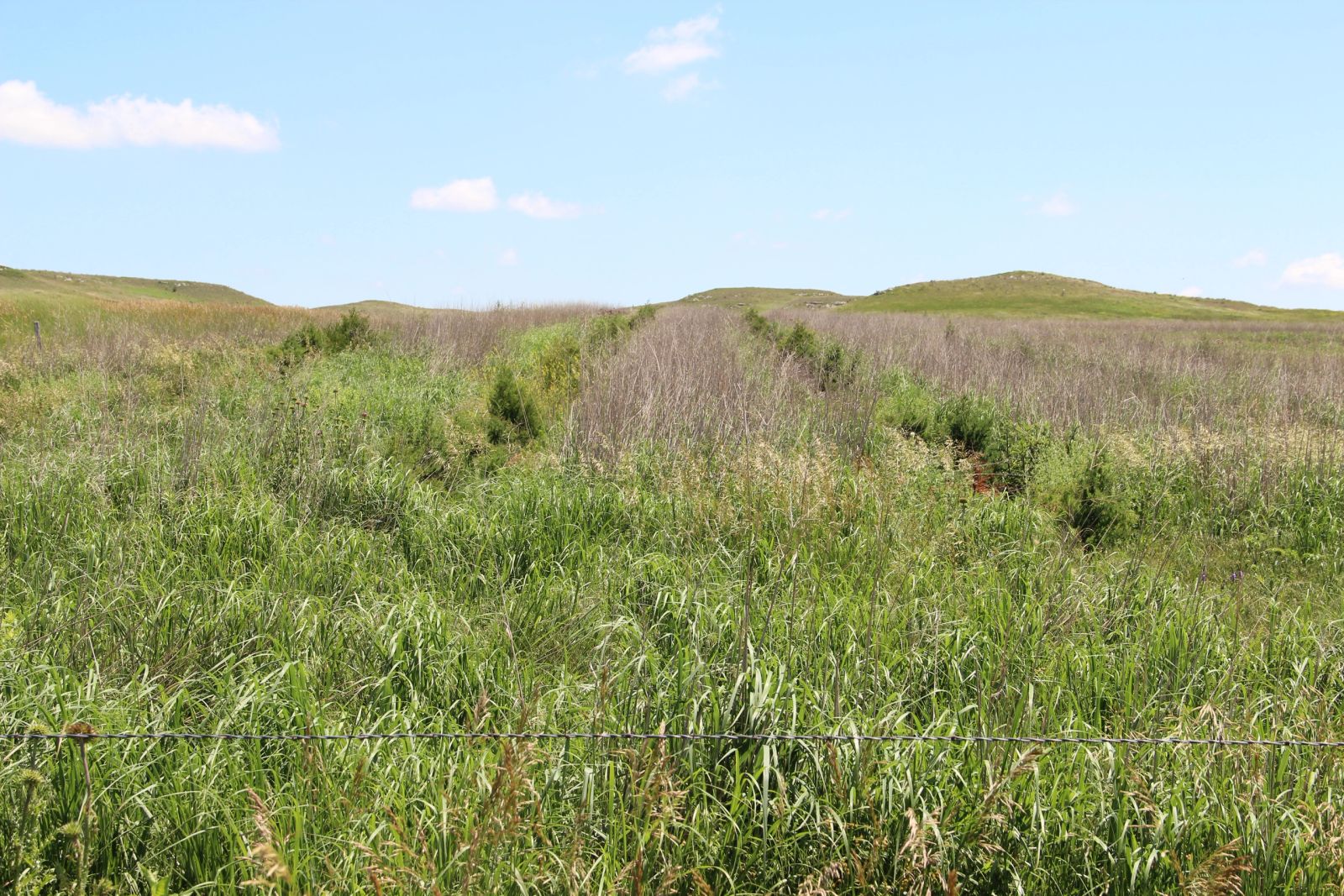 240 +/- Acres Pasture Land, Valley Twp, Tripp Co, SD — Winner, SD real estate photo thumbnail 12