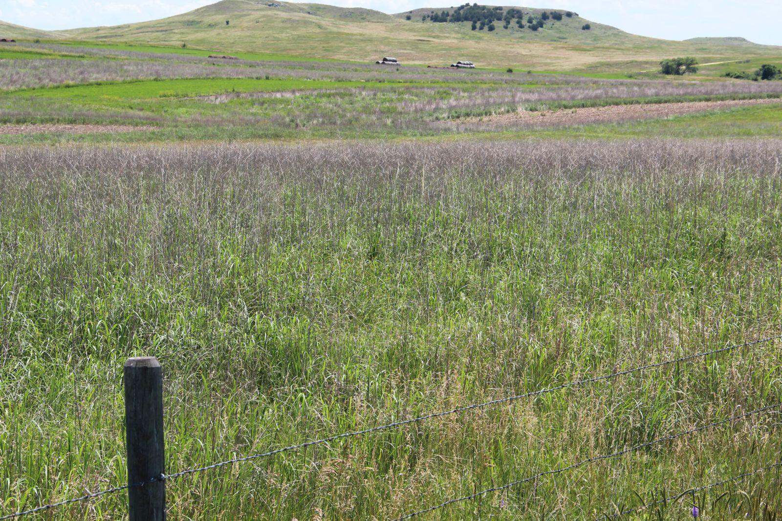 240 +/- Acres Pasture Land, Valley Twp, Tripp Co, SD — Winner, SD real estate photo thumbnail 6