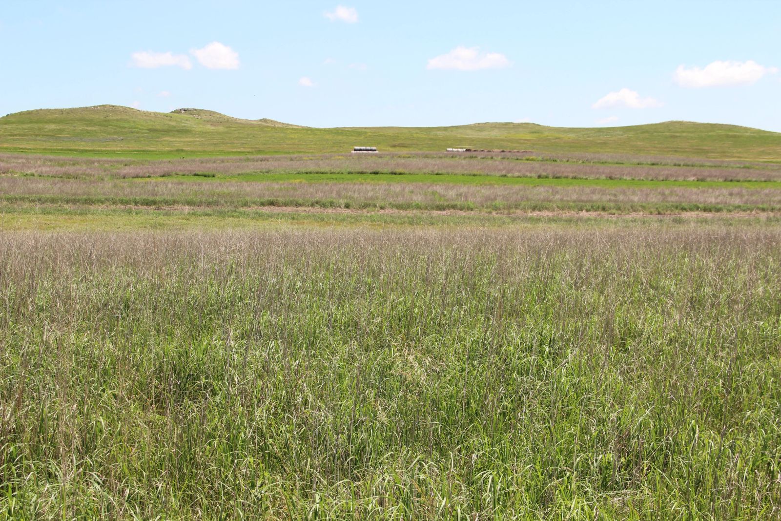 240 +/- Acres Pasture Land, Valley Twp, Tripp Co, SD — Winner, SD real estate photo thumbnail 13