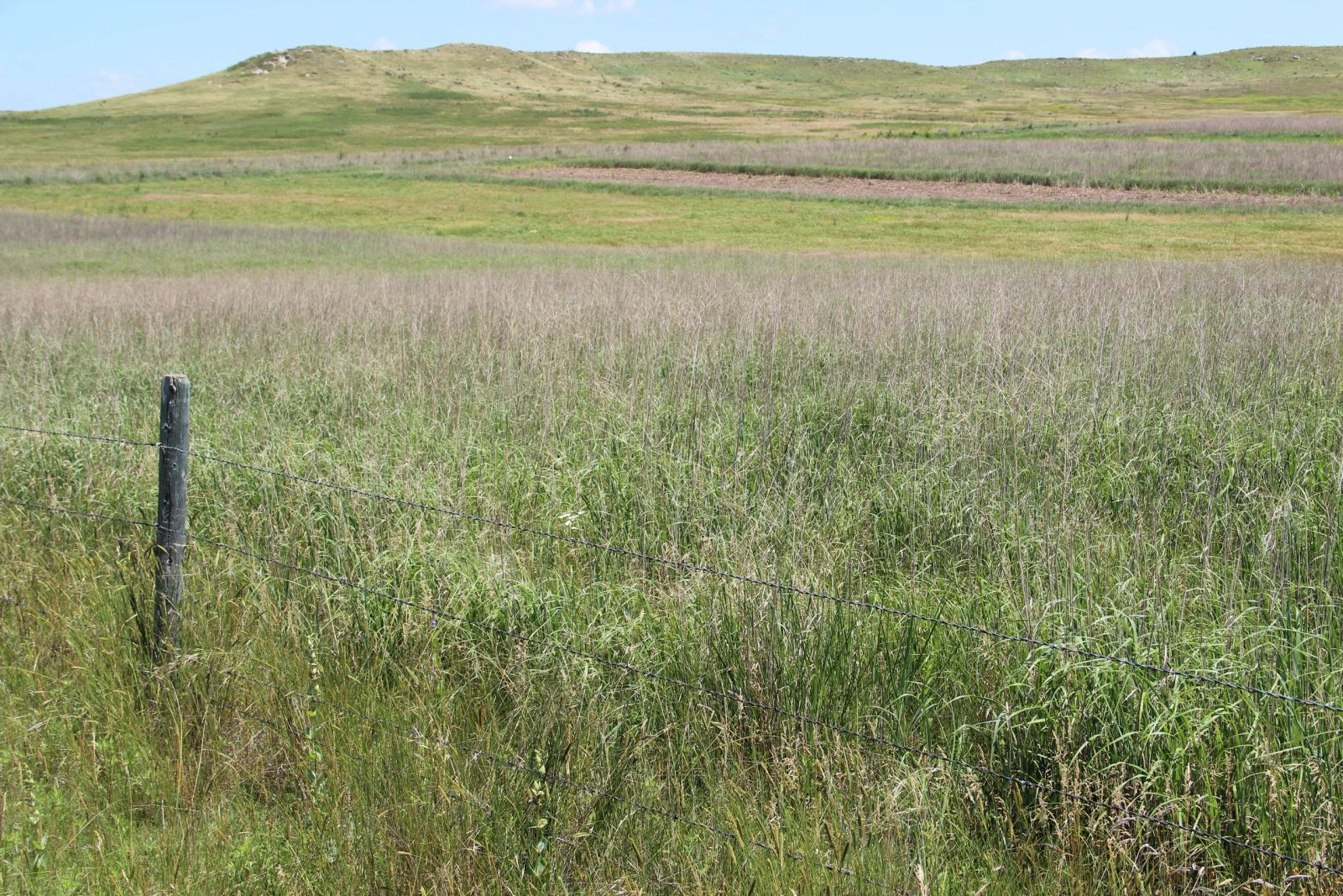 240 +/- Acres Pasture Land, Valley Twp, Tripp Co, SD — Winner, SD real estate photo thumbnail 15
