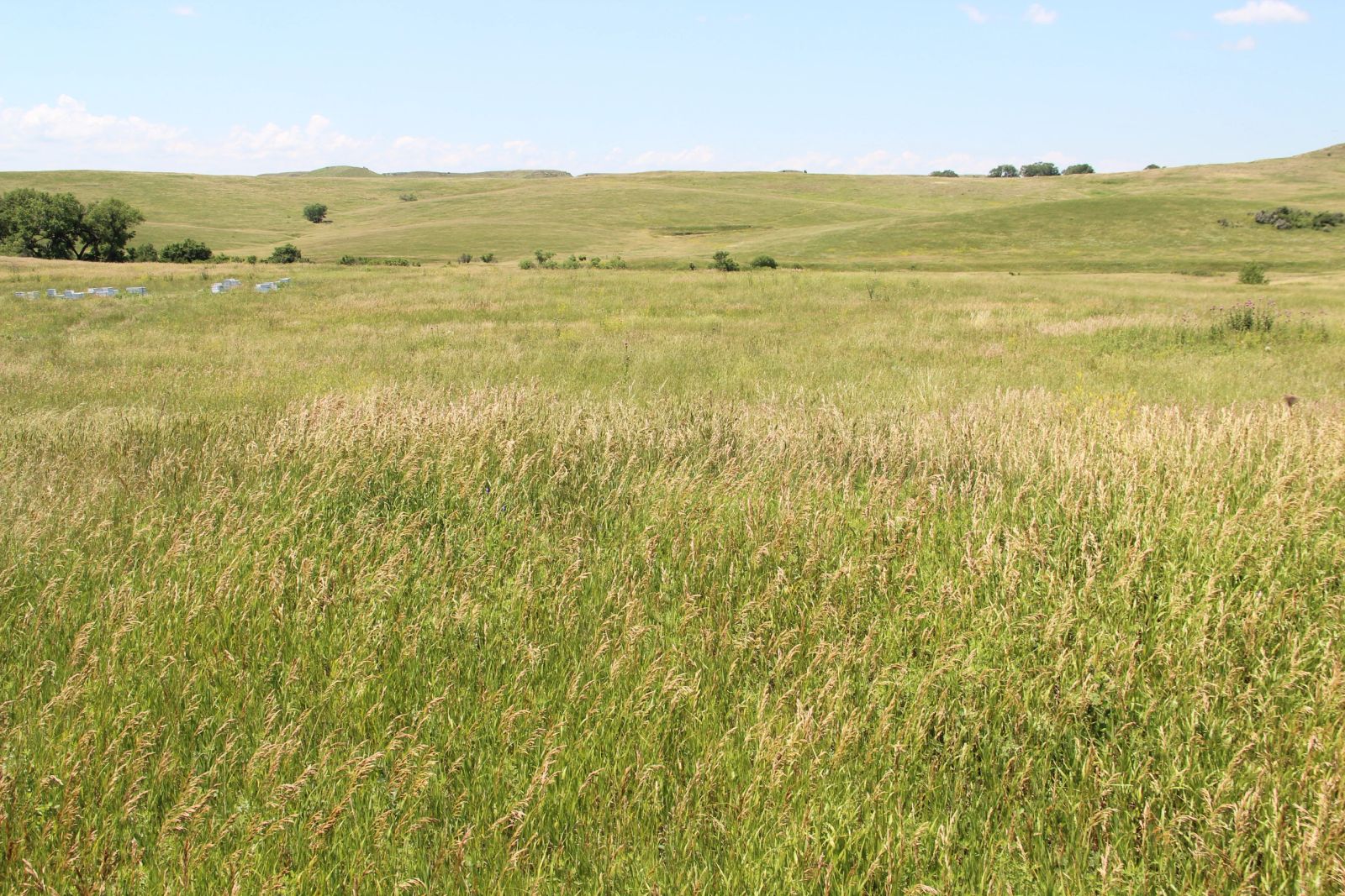 240 +/- Acres Pasture Land, Valley Twp, Tripp Co, SD — Winner, SD real estate photo thumbnail 2