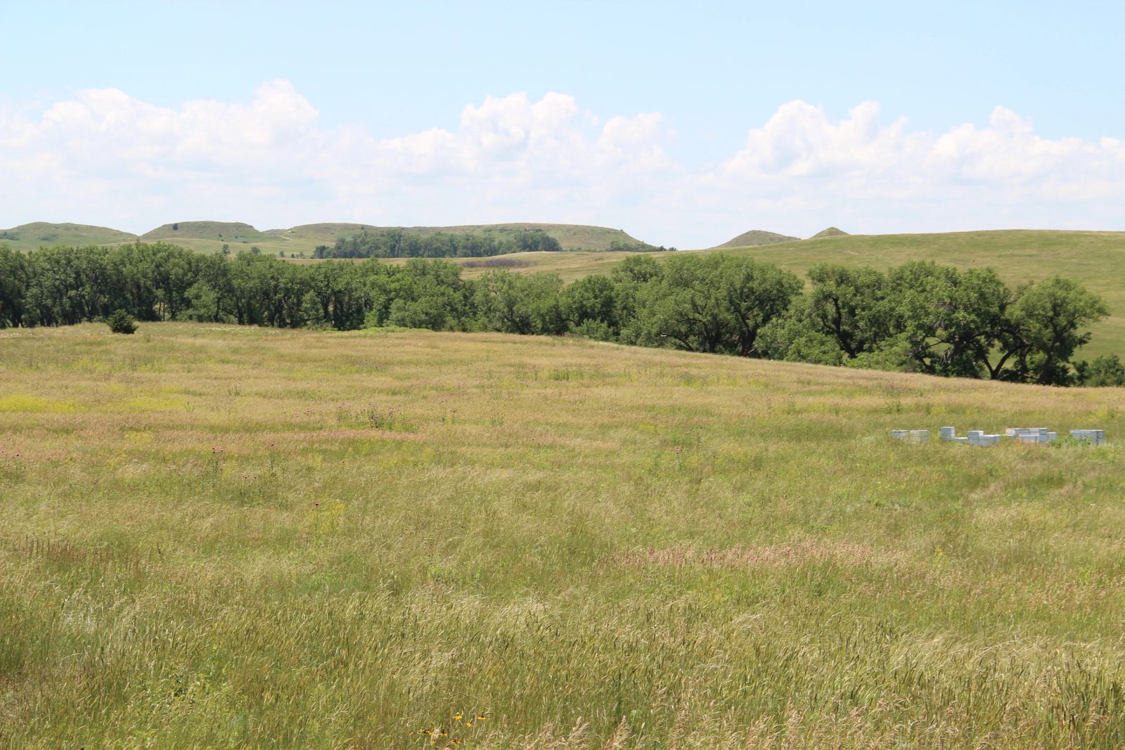 240 +/- Acres Pasture Land, Valley Twp, Tripp Co, SD — Winner, SD real estate photo thumbnail 18
