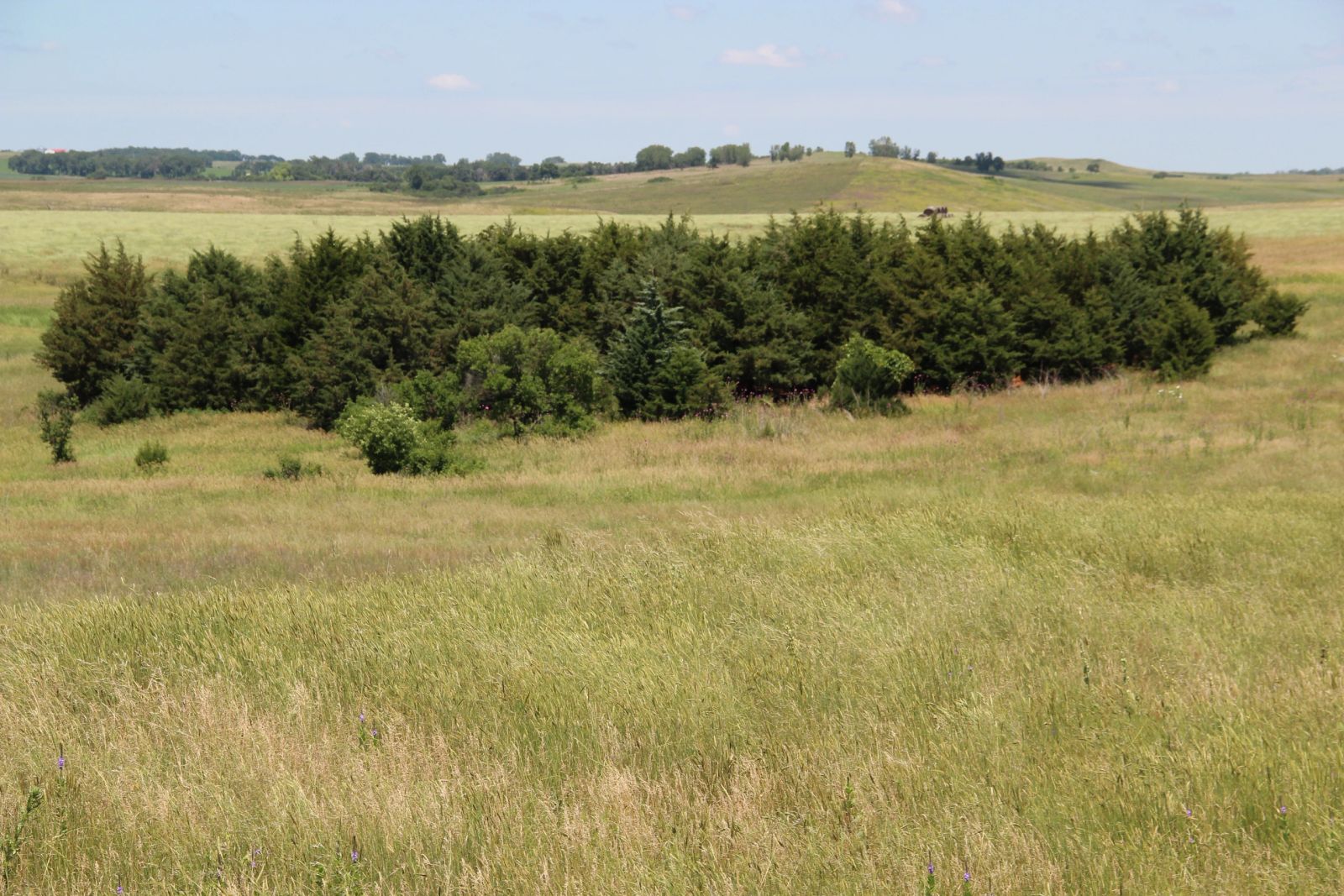 240 +/- Acres Pasture Land, Valley Twp, Tripp Co, SD — Winner, SD real estate photo thumbnail 40