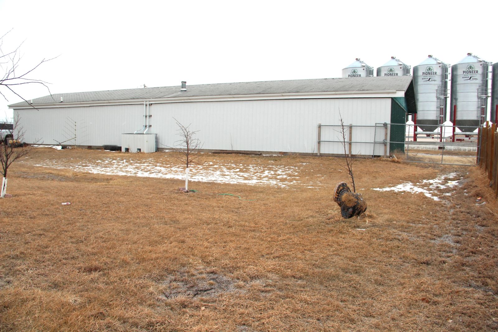 West 1st Street Storage Units, Winner, SD — Winner, SD real estate photo thumbnail 4