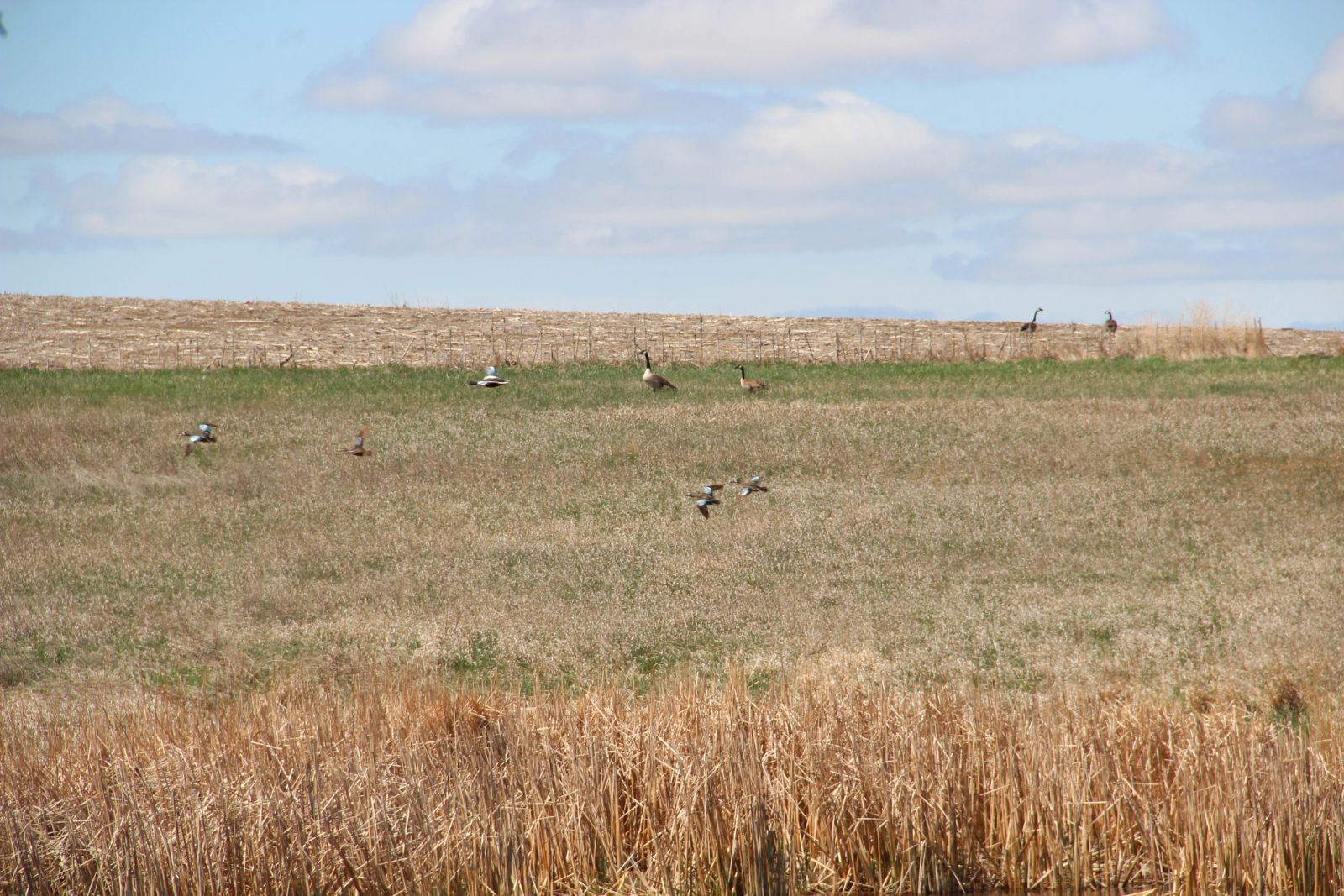 3 Tracts of Land — Tripp County, SD — Land Auction in Winner, SD thumbnail 30