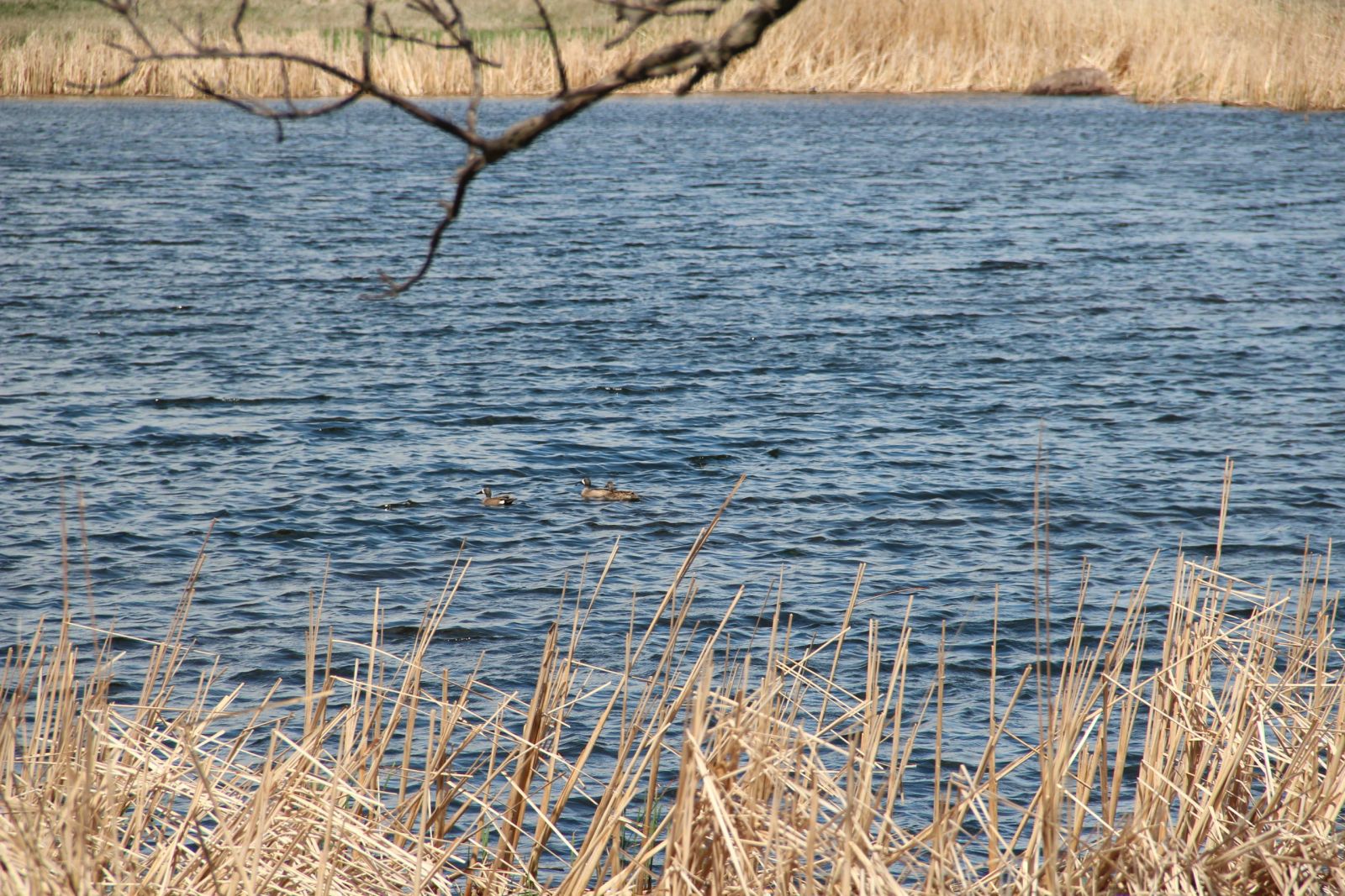3 Tracts of Land — Tripp County, SD — Land Auction in Winner, SD thumbnail 27