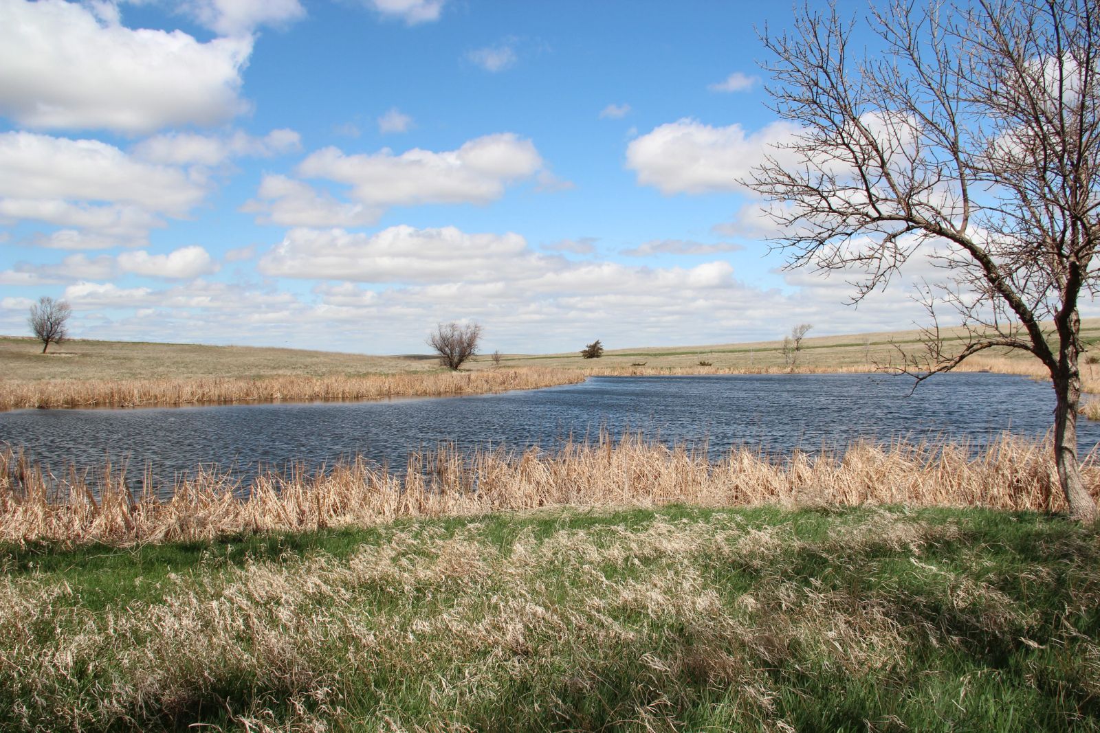 3 Tracts of Land — Tripp County, SD — Land Auction in Winner, SD thumbnail 37