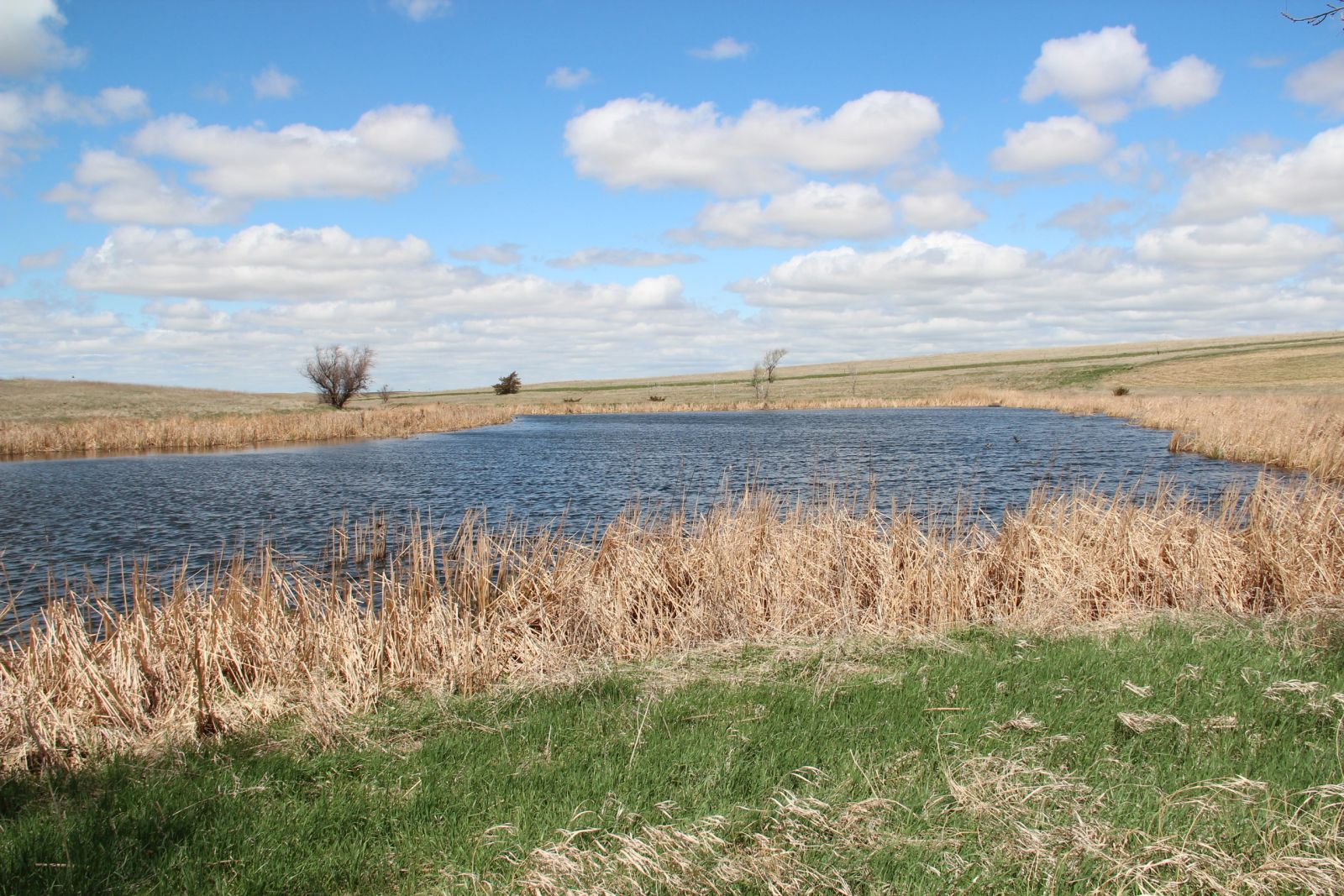 3 Tracts of Land — Tripp County, SD — Land Auction in Winner, SD thumbnail 28