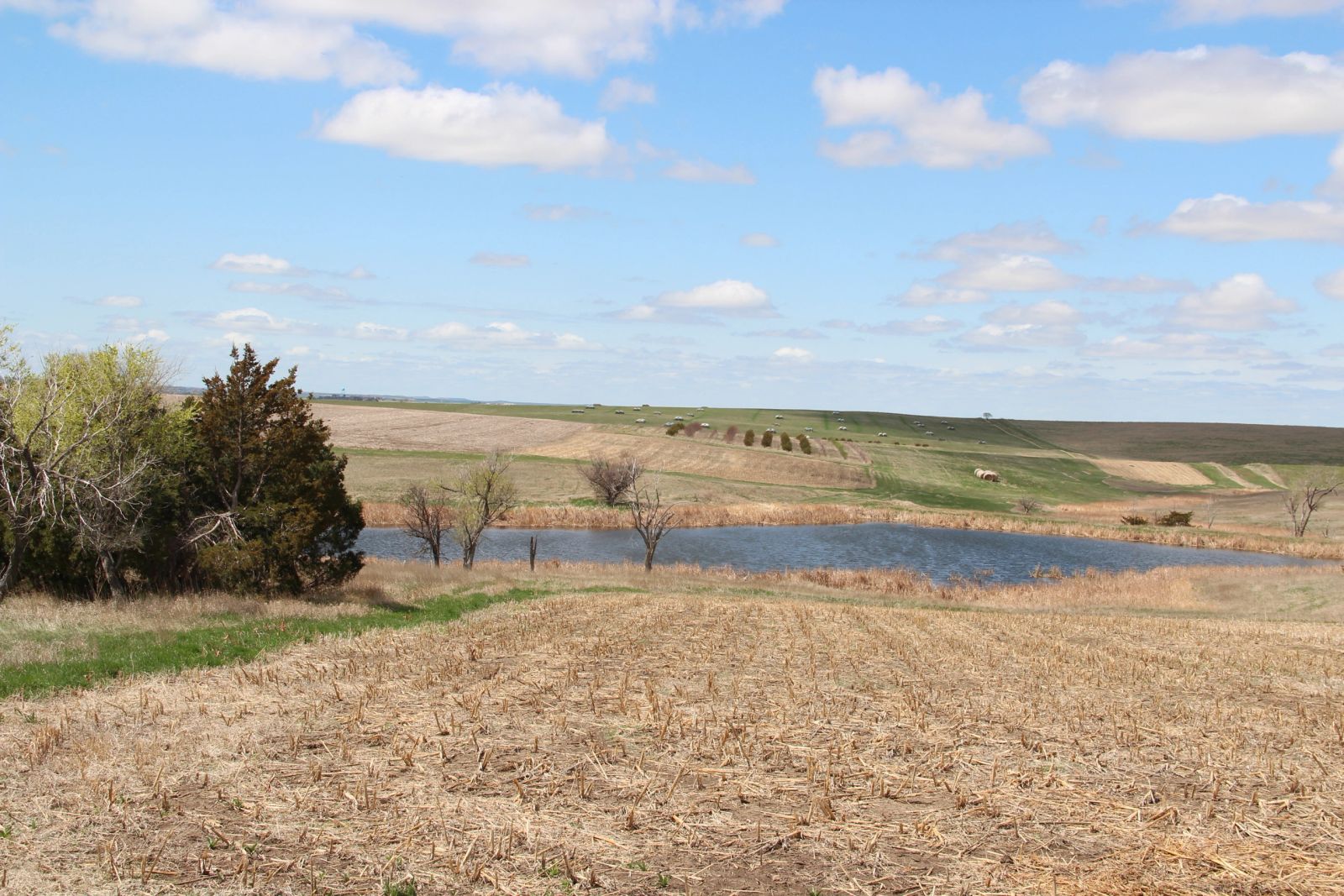 3 Tracts of Land — Tripp County, SD — Land Auction in Winner, SD thumbnail 29