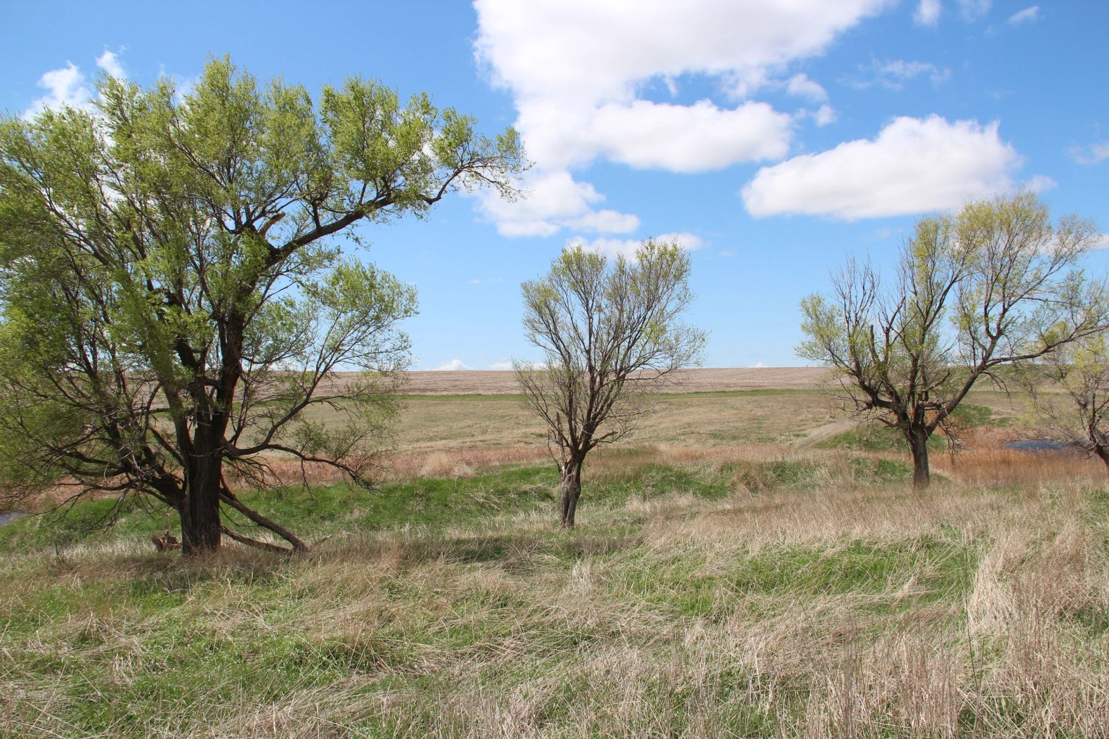 3 Tracts of Land — Tripp County, SD — Land Auction in Winner, SD thumbnail 38