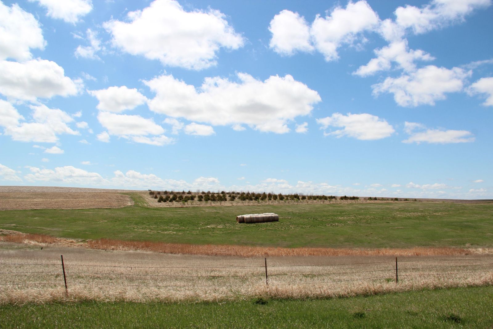 3 Tracts of Land — Tripp County, SD — Land Auction in Winner, SD thumbnail 33